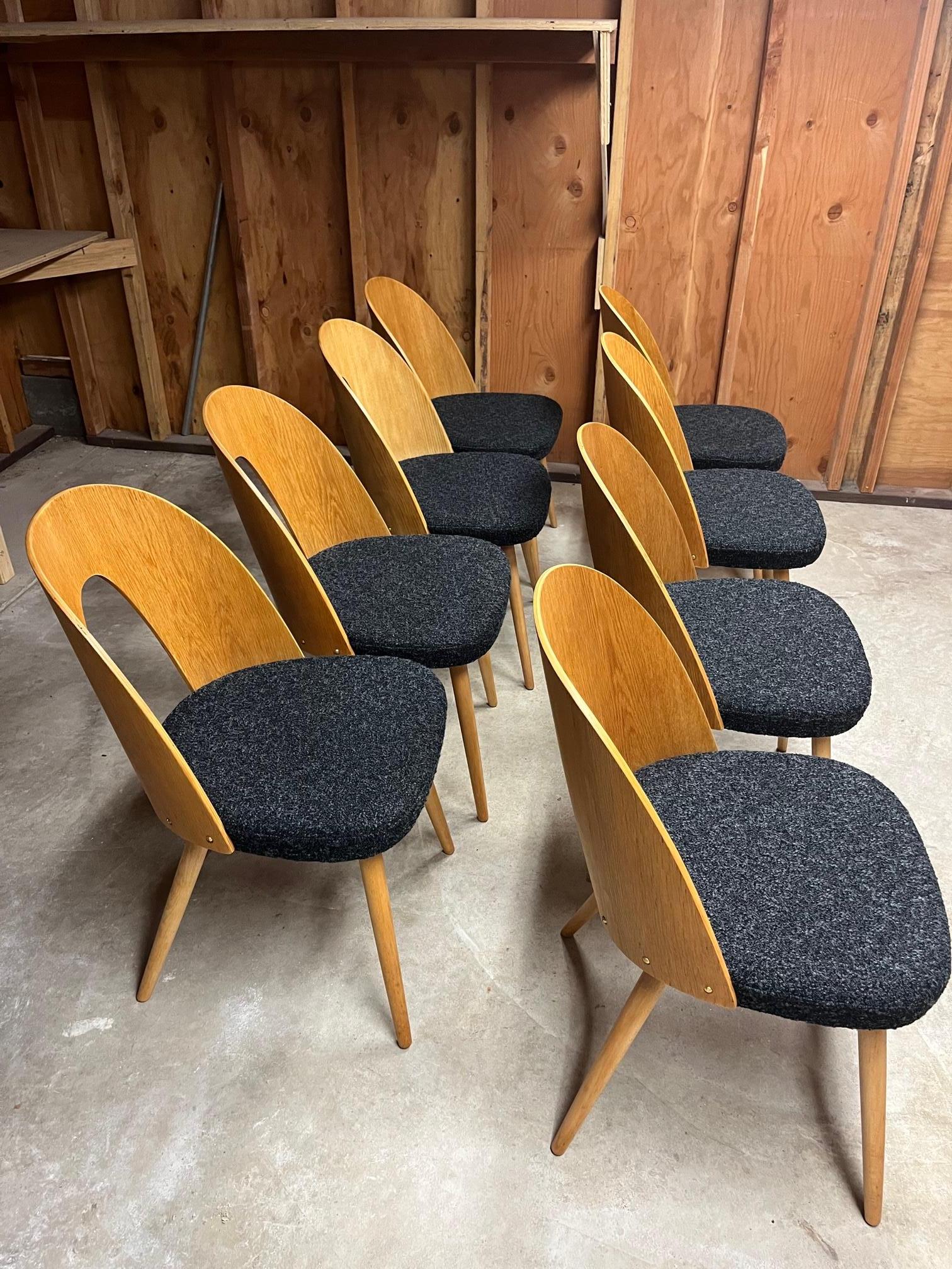 Ensemble de 8 chaises 
Conçue par Antonin Suman dans les années 1960 pour Tatra en Tchécoslovaquie. 
Bois de frêne avec placage de frêne, siège rembourré. 
Remeublement flambant neuf avec le nouveau bouclier KVADRAT BLACK

Dimensions :
Hauteur du