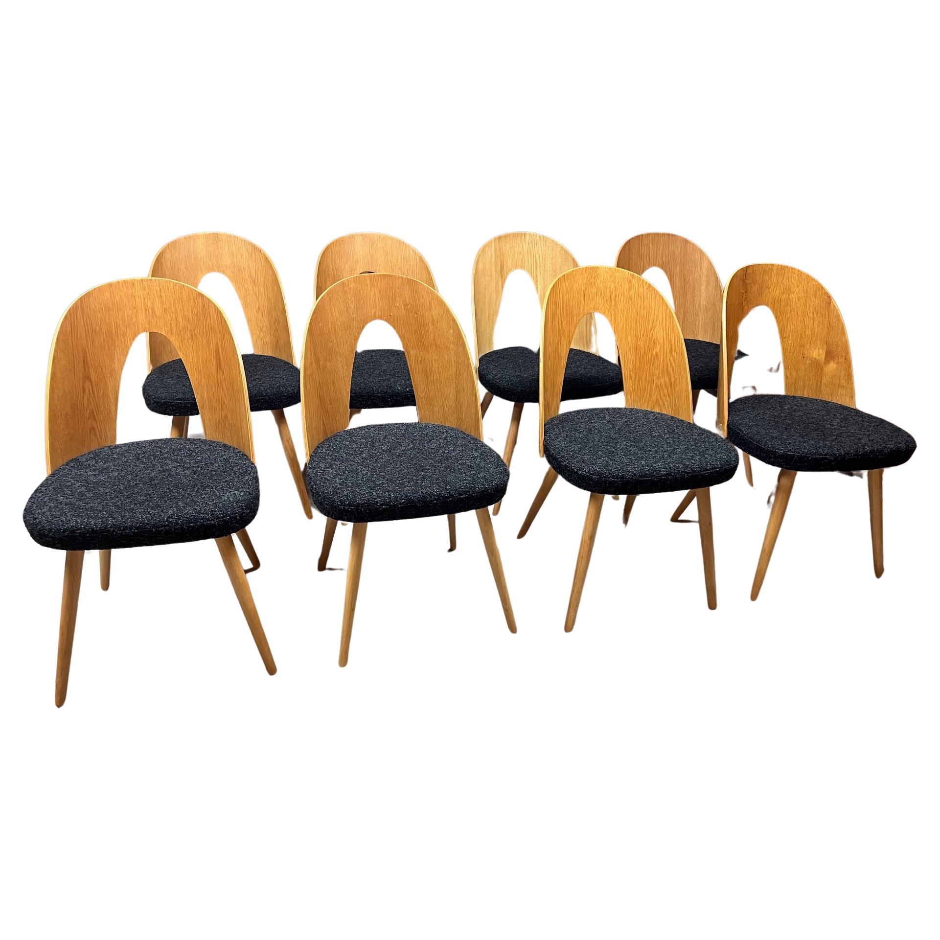 Antonín Šuman Dining Room Chairs