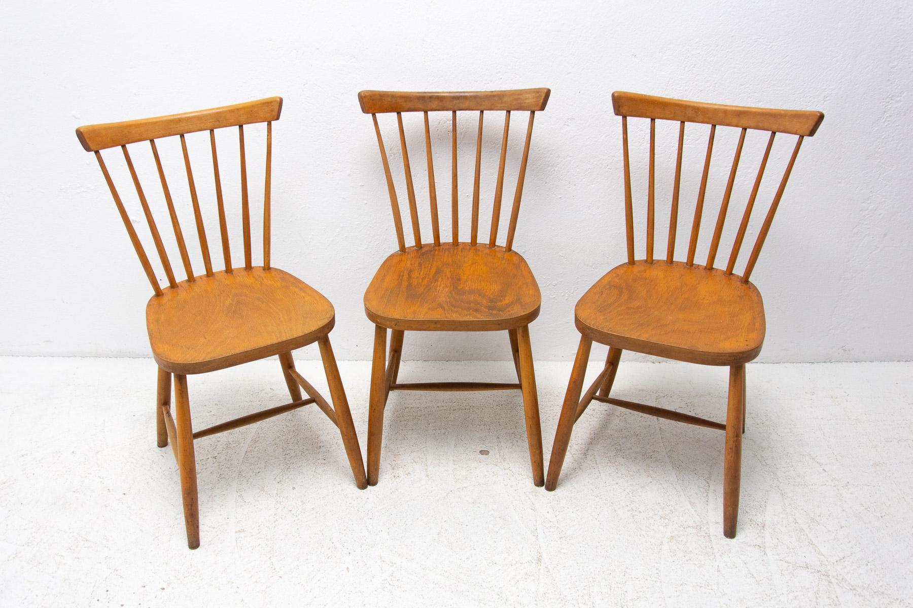 Mid-Century Modern Mid Century Dining Chairs by Antonin Suman, 1960´s, Set of 3