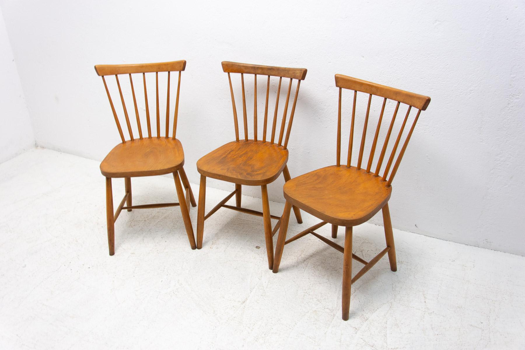 Czech Mid Century Dining Chairs by Antonin Suman, 1960´s, Set of 3
