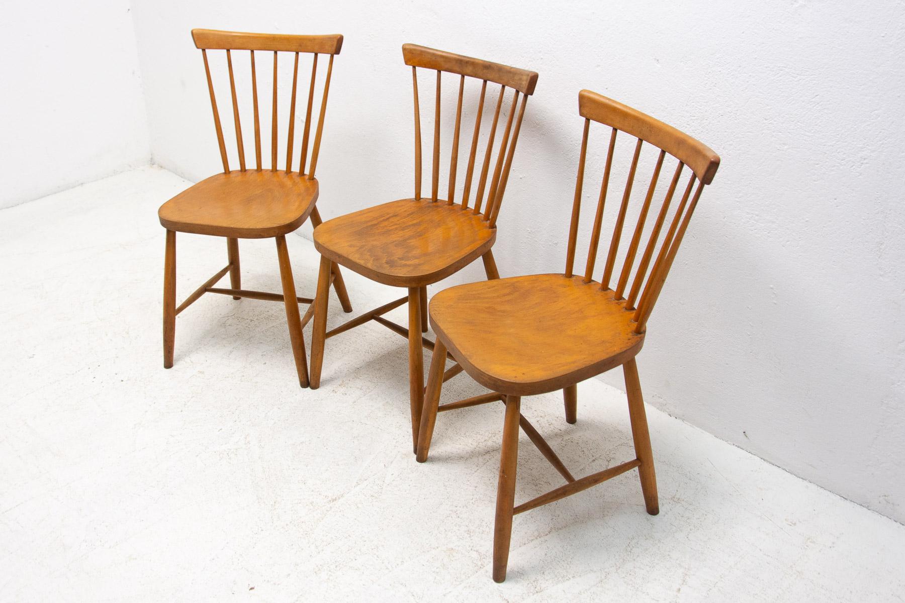 20th Century Mid Century Dining Chairs by Antonin Suman, 1960´s, Set of 3