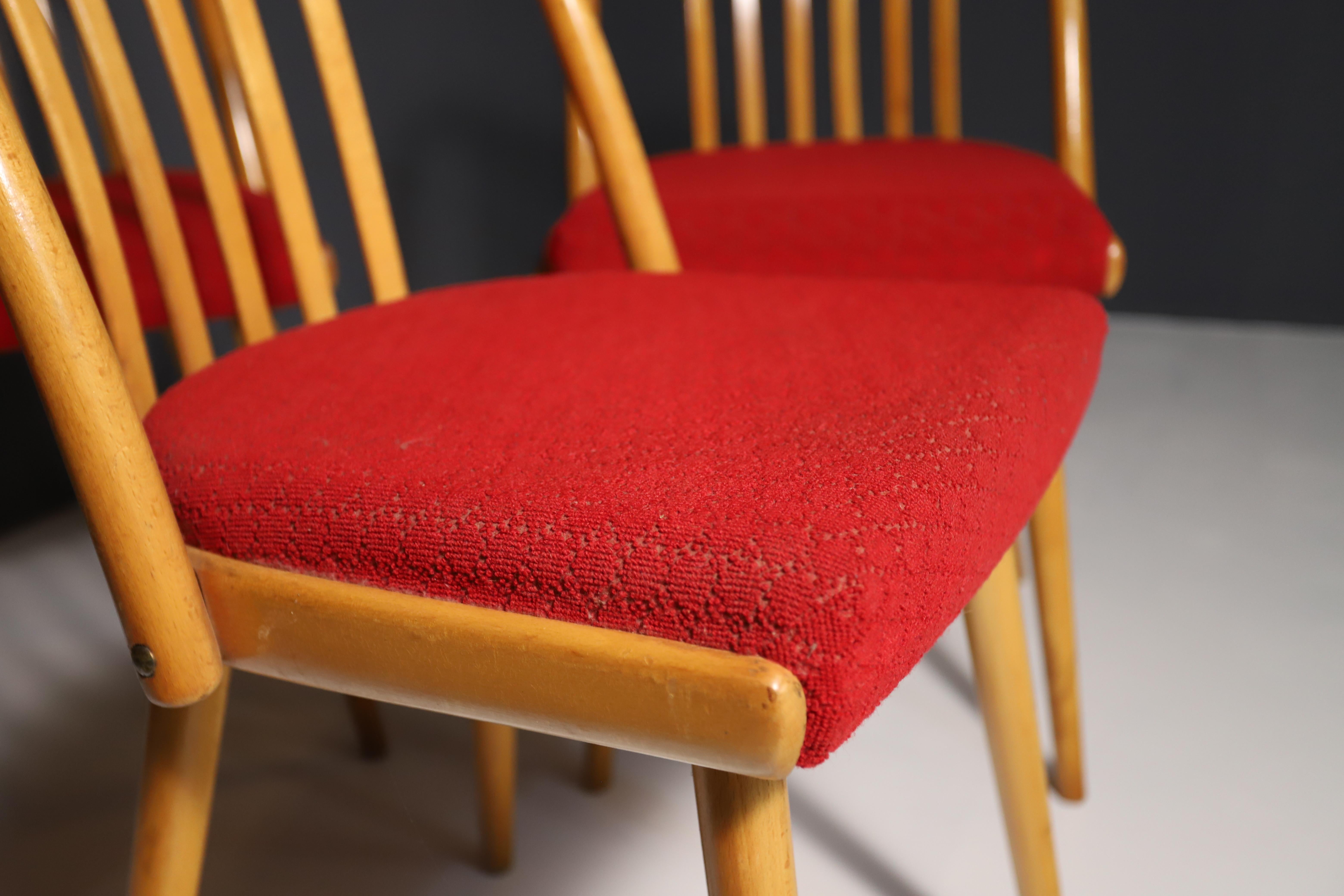 Tchèque Chaises de salle à manger du milieu du siècle par Antonín Šuman, 1960, ensemble de 4 en vente
