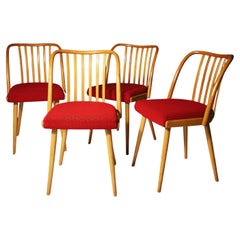 Sillas de comedor de mediados de siglo de Antonín Šuman, Años 60, Juego de 4