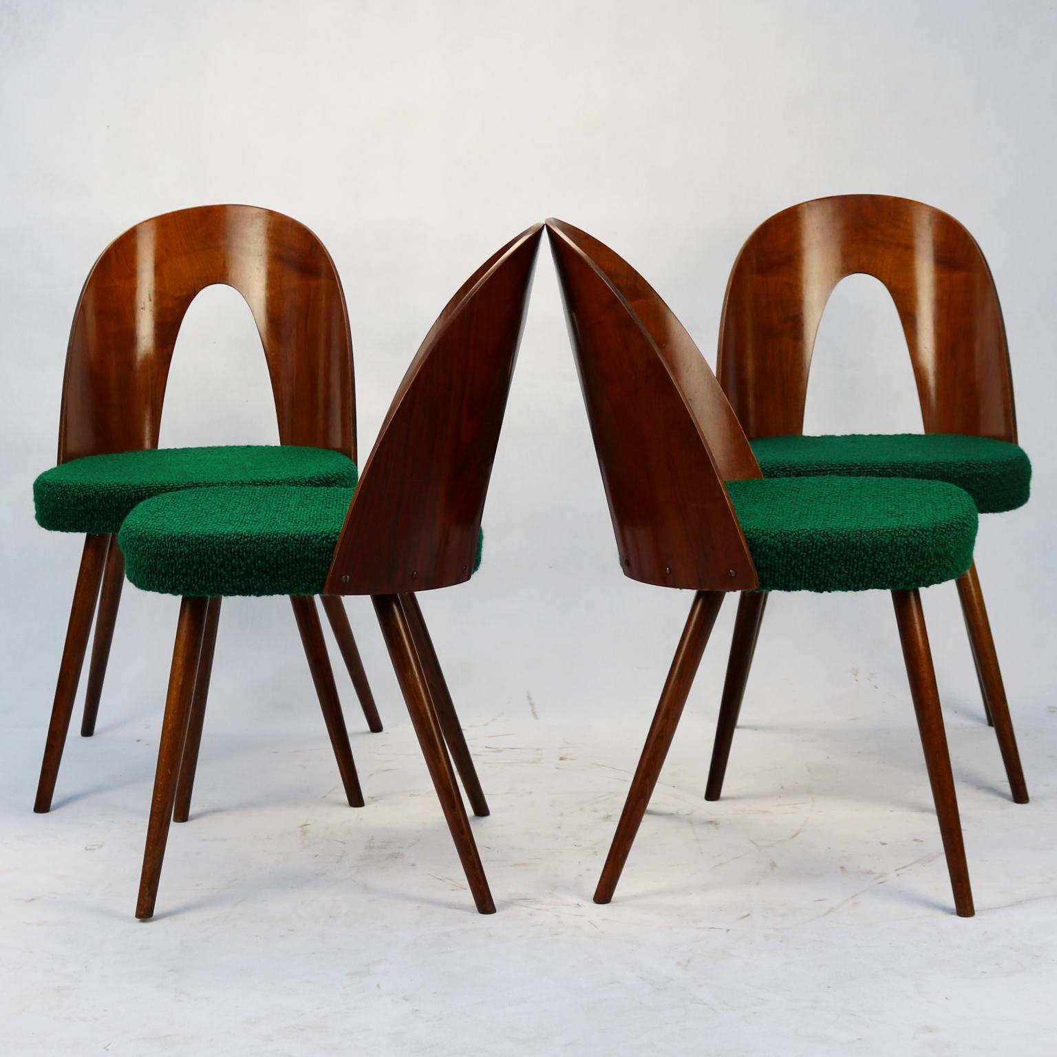 Mid-Century Modern Mid Century Dining Chairs by Antonín Šuman for Tatra Nabytok NP, 1960s