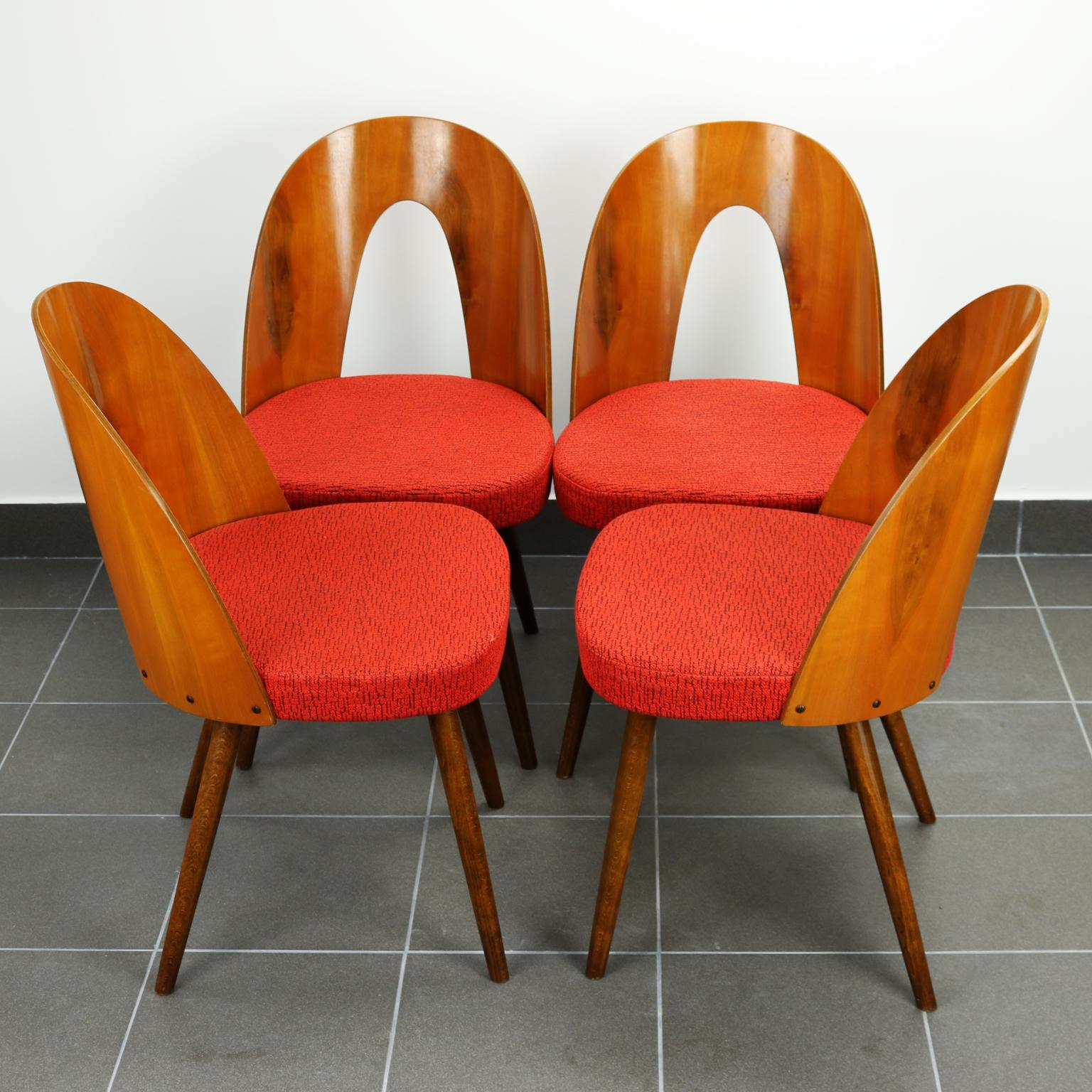 Mid-Century Modern Mid Century Dining Chairs by Antonín Šuman for Tatra Nabytok Np, 1960s