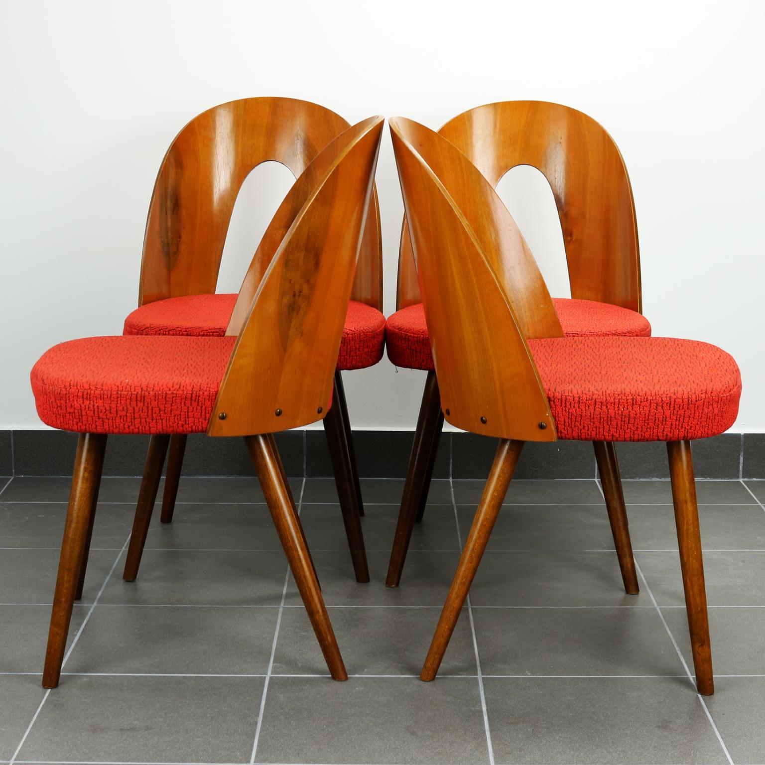 Czech Mid Century Dining Chairs by Antonín Šuman for Tatra Nabytok Np, 1960s