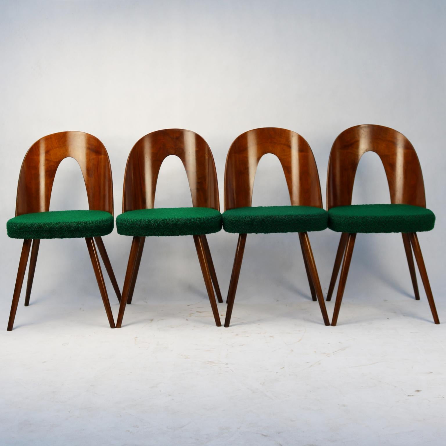 Mid Century Dining Chairs by Antonín Šuman for Tatra Nabytok NP, 1960s In Good Condition In Lucenec, SK