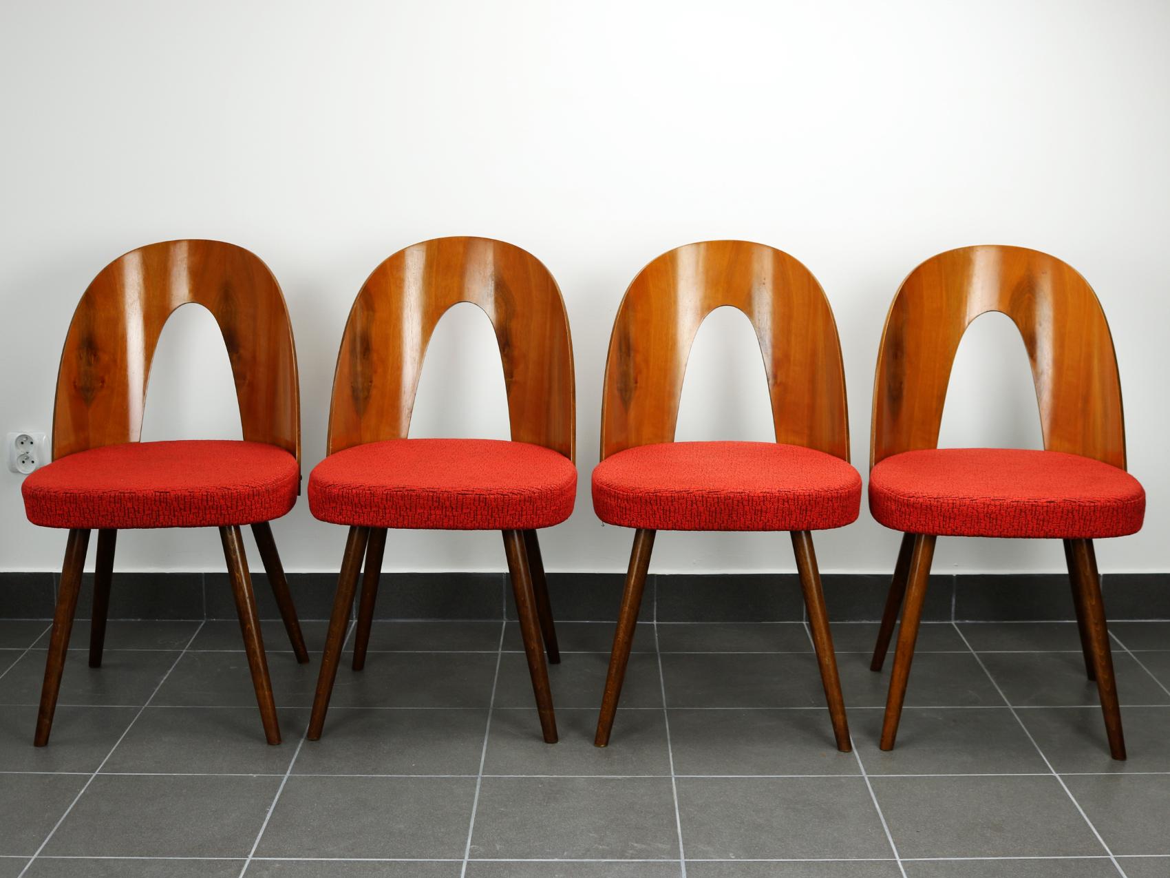 Mid Century Dining Chairs by Antonín Šuman for Tatra Nabytok Np, 1960s In Good Condition In Lucenec, SK