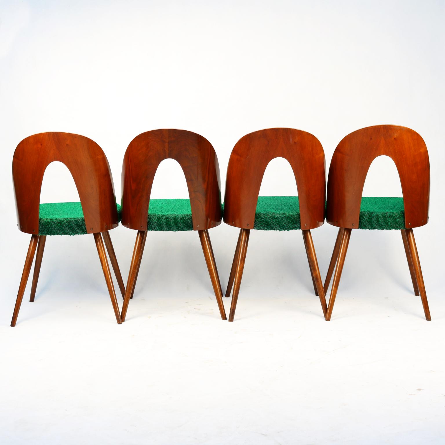 Mid-20th Century Mid Century Dining Chairs by Antonín Šuman for Tatra Nabytok NP, 1960s