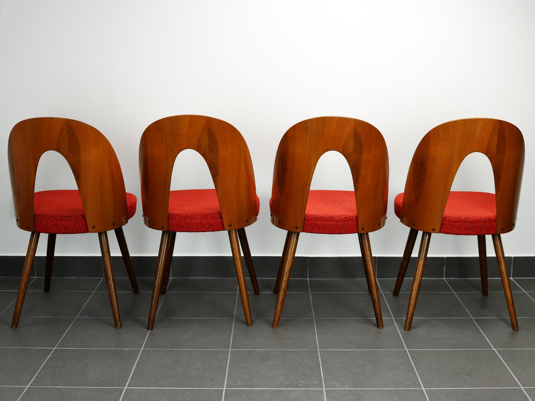 Plywood Mid Century Dining Chairs by Antonín Šuman for Tatra Nabytok Np, 1960s