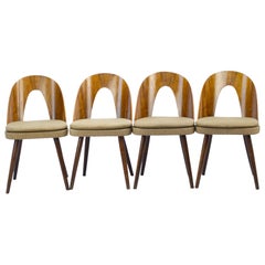 Midcentury Dining Chairs by Antonín Šuman for Tatra Nabytok Np, 1960s