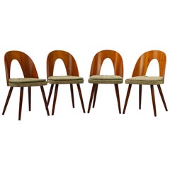 Midcentury Dining Chairs by Antonín Šuman for Tatra Nabytok Np, 1960s