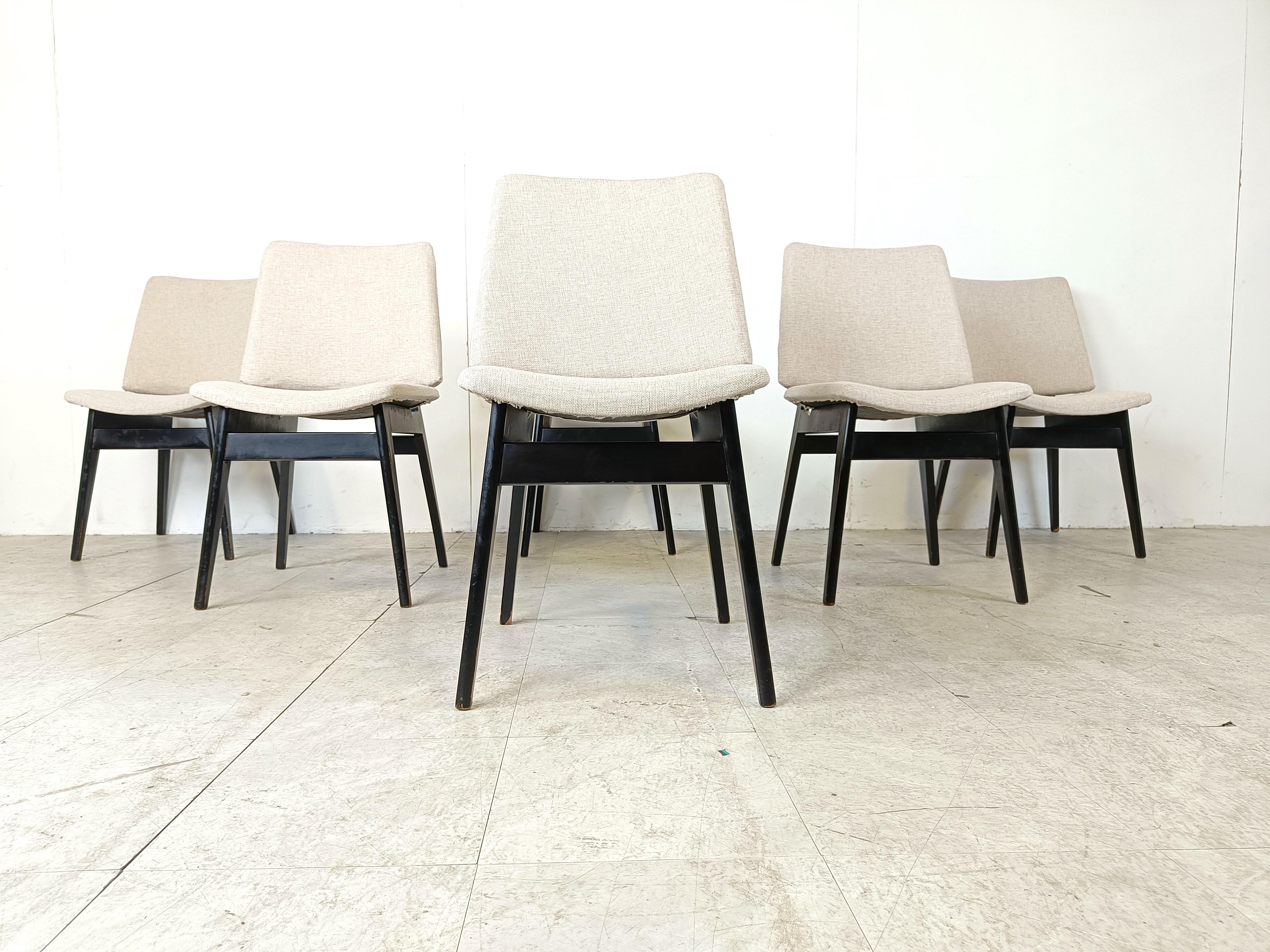 Mid century dining chairs by Jos De Mey, 1950s In Good Condition For Sale In HEVERLEE, BE