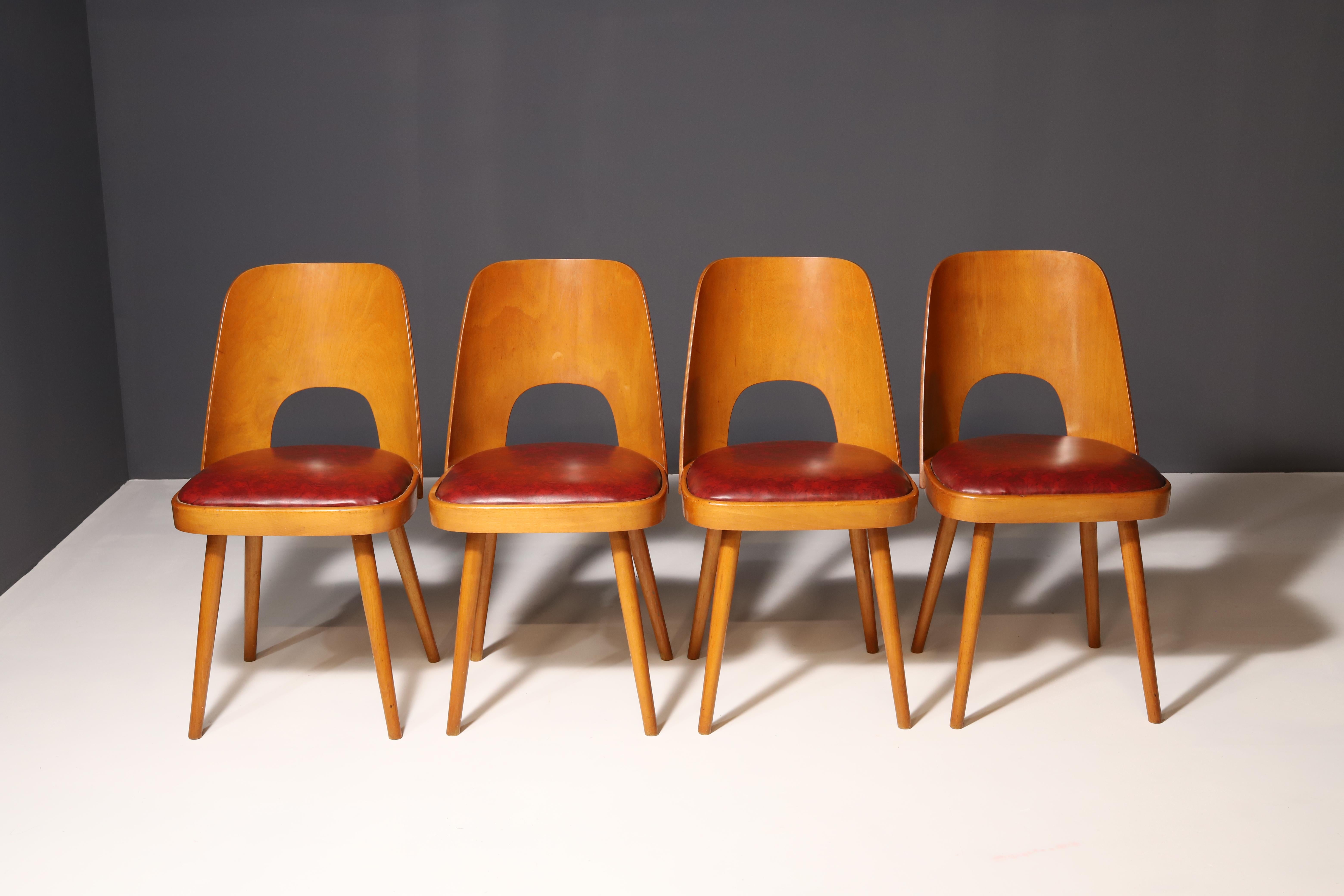 An interesting model of mid century bentwood dining chairs. Designed by Radomír Hofman for TON Bystřice pod Hostýnem (Thonet successor in Czechoslovakia after World War 2) . They were made in the former Czechoslovakia in the 1960´s. The chairs are