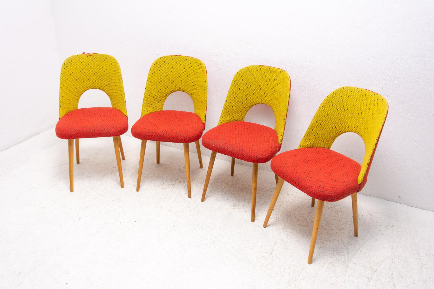 Czech Mid Century Dining Chairs by Radomír Hofman, 1960´s, Set of 4