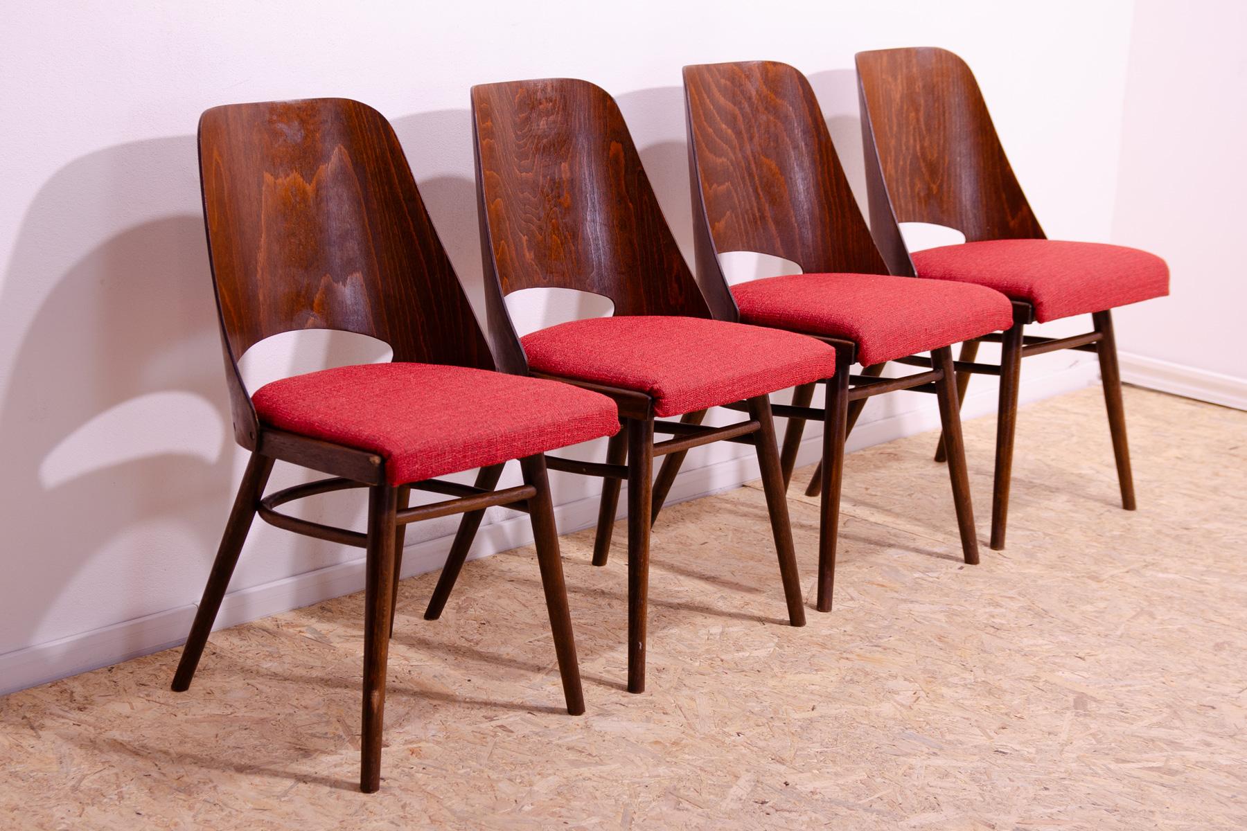 Czech Mid Century dining chairs by Radomír Hofman, 1960´s, set of 4 For Sale
