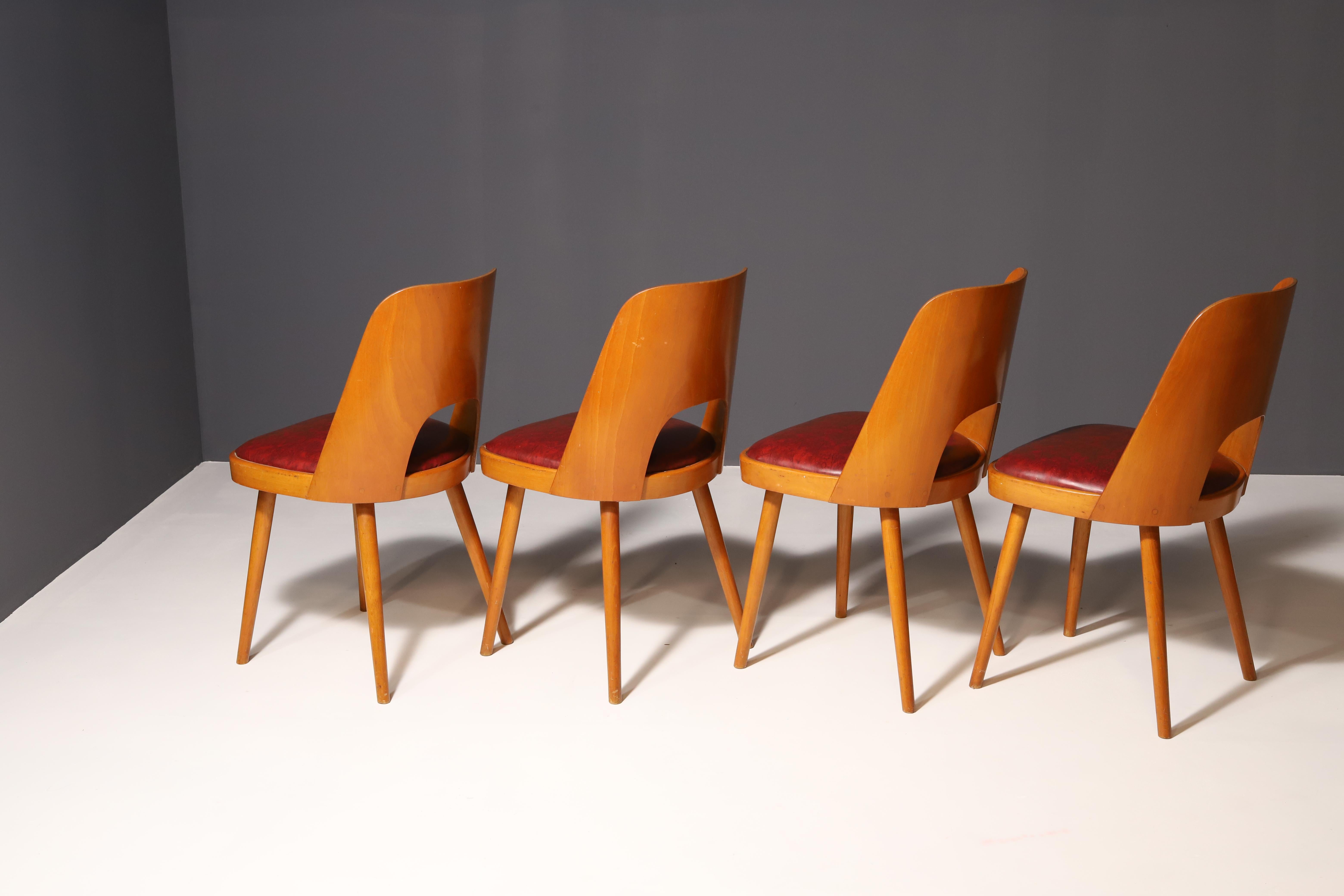 Czech Mid Century dining chairs by Radomír Hofman, 1960´s, set of 4 For Sale