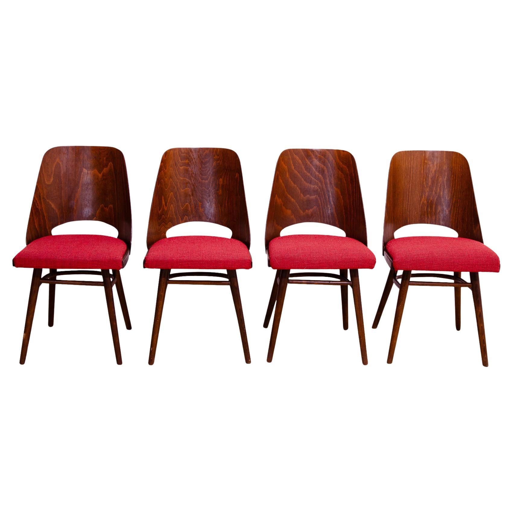 Mid Century dining chairs by Radomír Hofman, 1960´s, set of 4 For Sale