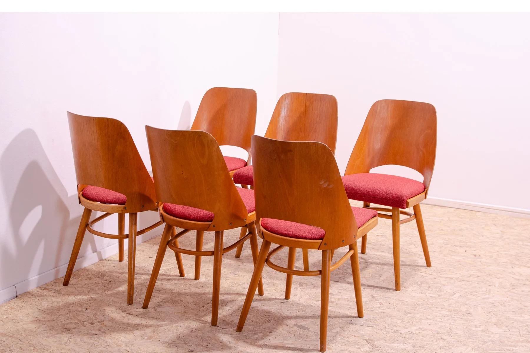 Chaises de salle à manger du milieu du siècle par Radomír Hofman, années 1960, ensemble de 6 en vente 4