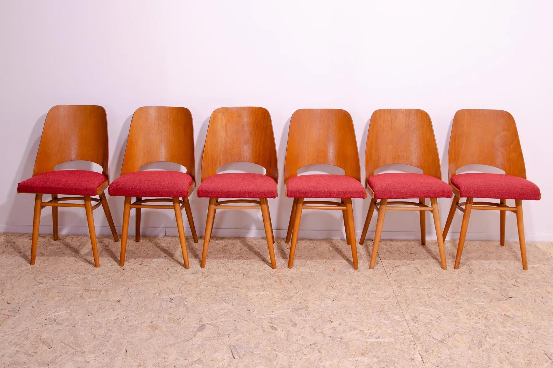 Un modèle intéressant de chaises de salle à manger en bois courbé du milieu du siècle. Conçu par Radomír Hofman pour TON Bystřice pod Hostýnem (successeur de Thonet en Tchécoslovaquie après la Seconde Guerre mondiale) . Ils ont été fabriqués dans