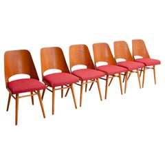Vintage Mid Century dining chairs by Radomír Hofman, 1960´s, set of 6