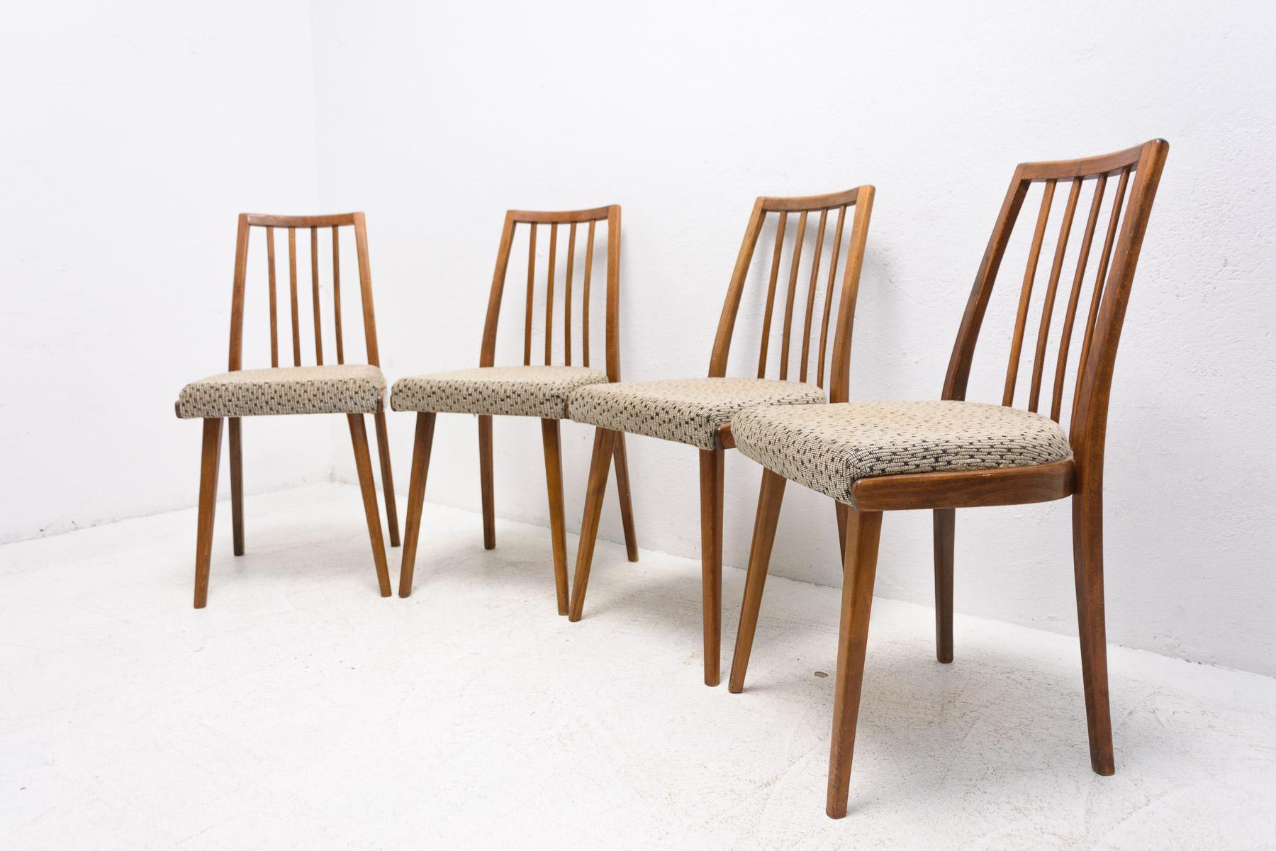 20th Century Mid Century Dining Chairs, Czechoslovakia, 1960´S