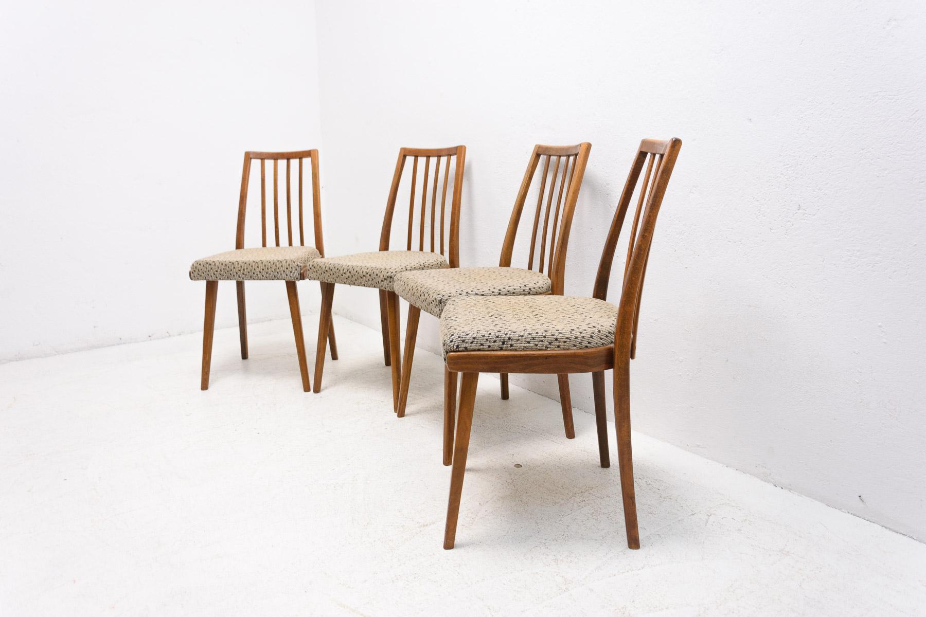 Mid Century Dining Chairs, Czechoslovakia, 1960´S 1