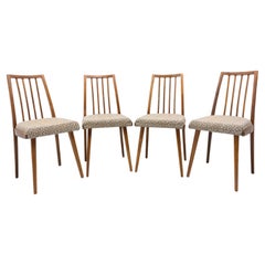 Mid Century Dining Chairs, Czechoslovakia, 1960´S