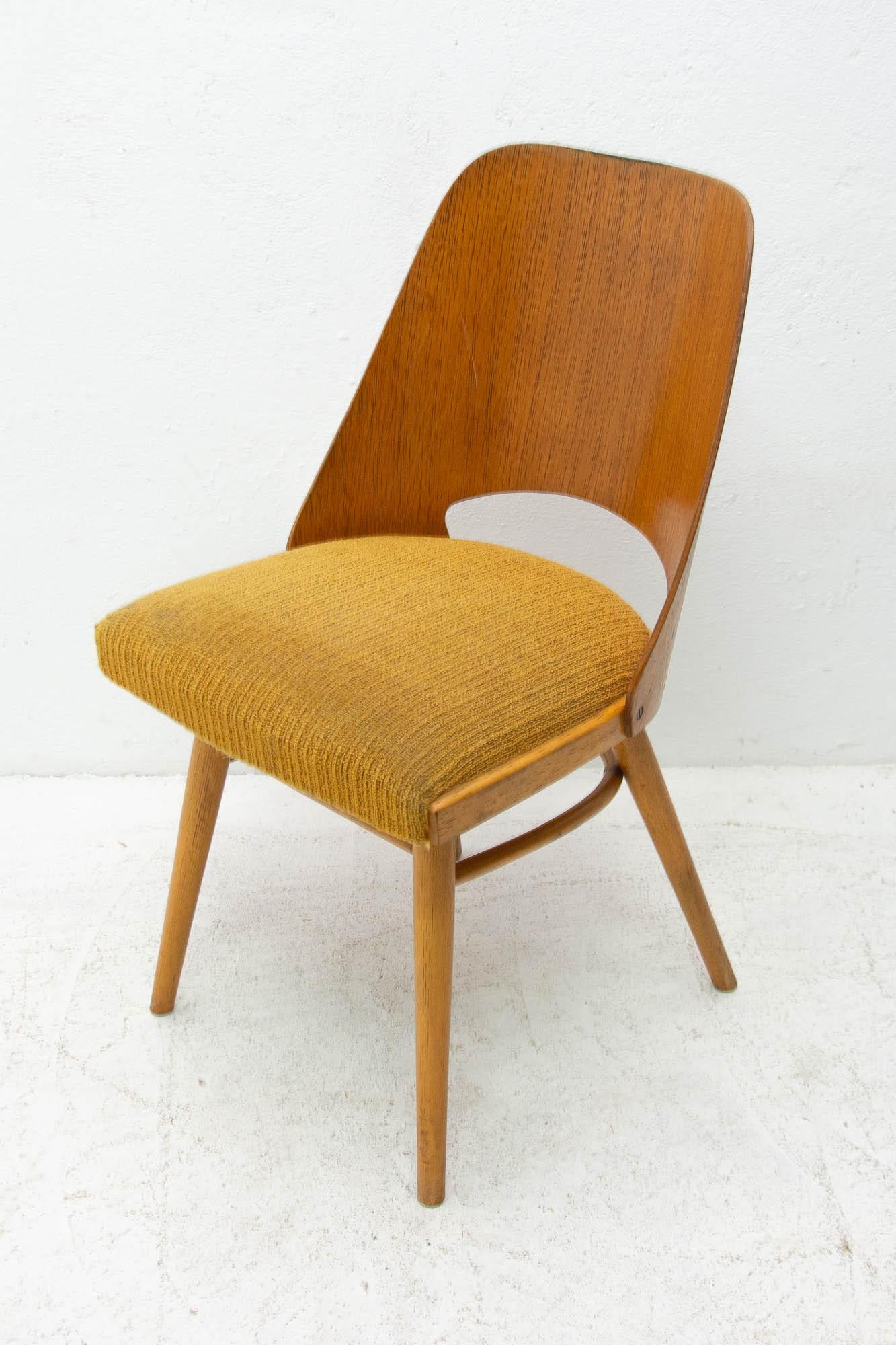  Mid Century dining chairs designed by Radomír Hofman for TON, 1960´s, Czech. 7