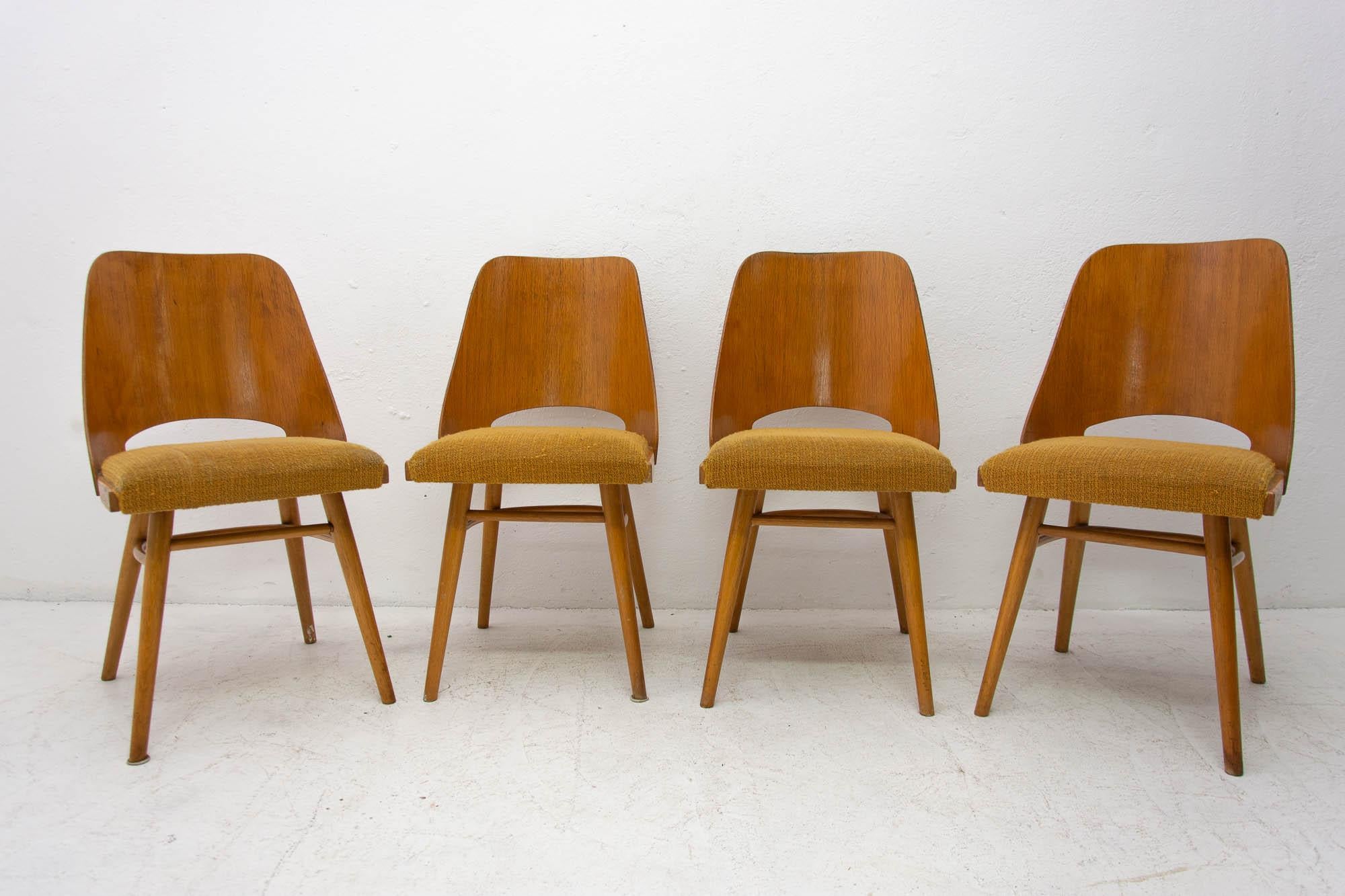 Interesting model of vintage bentwood dining chairs designed by Radomír Hofman for TON Bystrice pod Hostýnem (Thonet successor in Czechoslovakia after World War 2) . They were made in the former Czechoslovakia in the 1960´s. The chairs are made of
