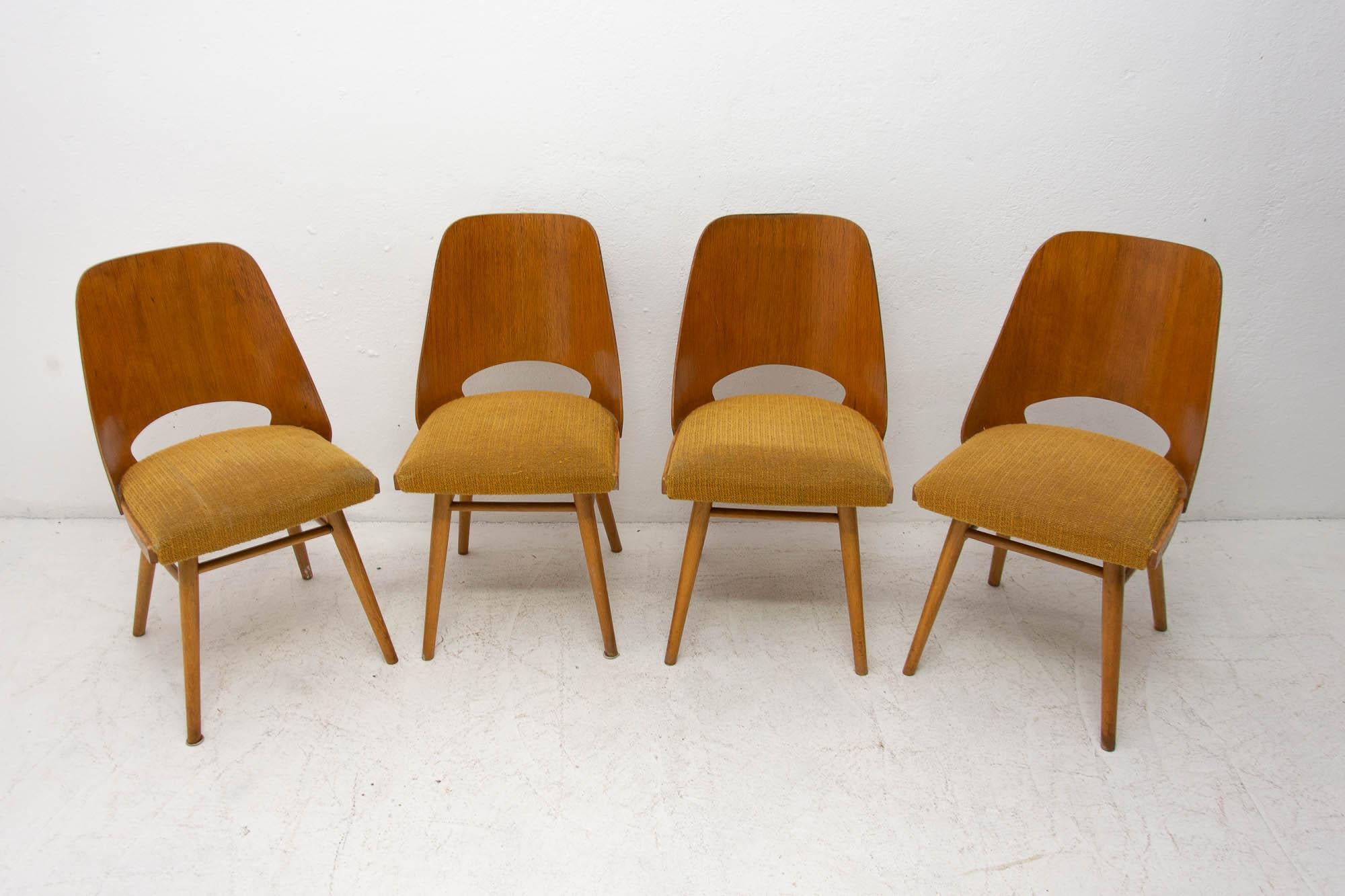 Scandinavian Modern  Mid Century dining chairs designed by Radomír Hofman for TON, 1960´s, Czech.