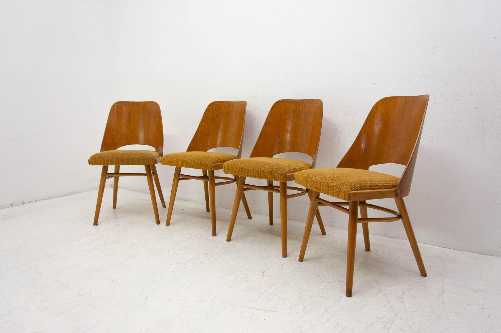  Mid Century dining chairs designed by Radomír Hofman for TON, 1960´s, Czech. In Good Condition In Prague 8, CZ