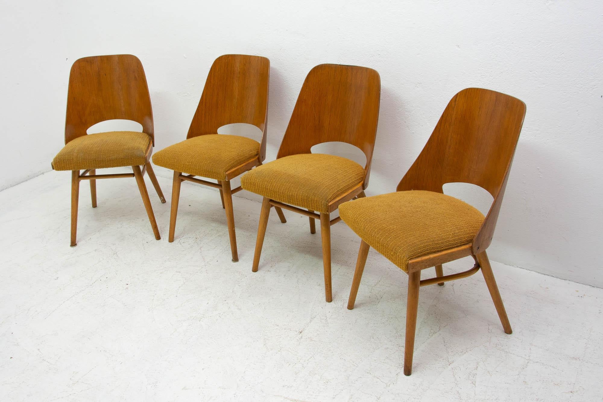 20th Century  Mid Century dining chairs designed by Radomír Hofman for TON, 1960´s, Czech.