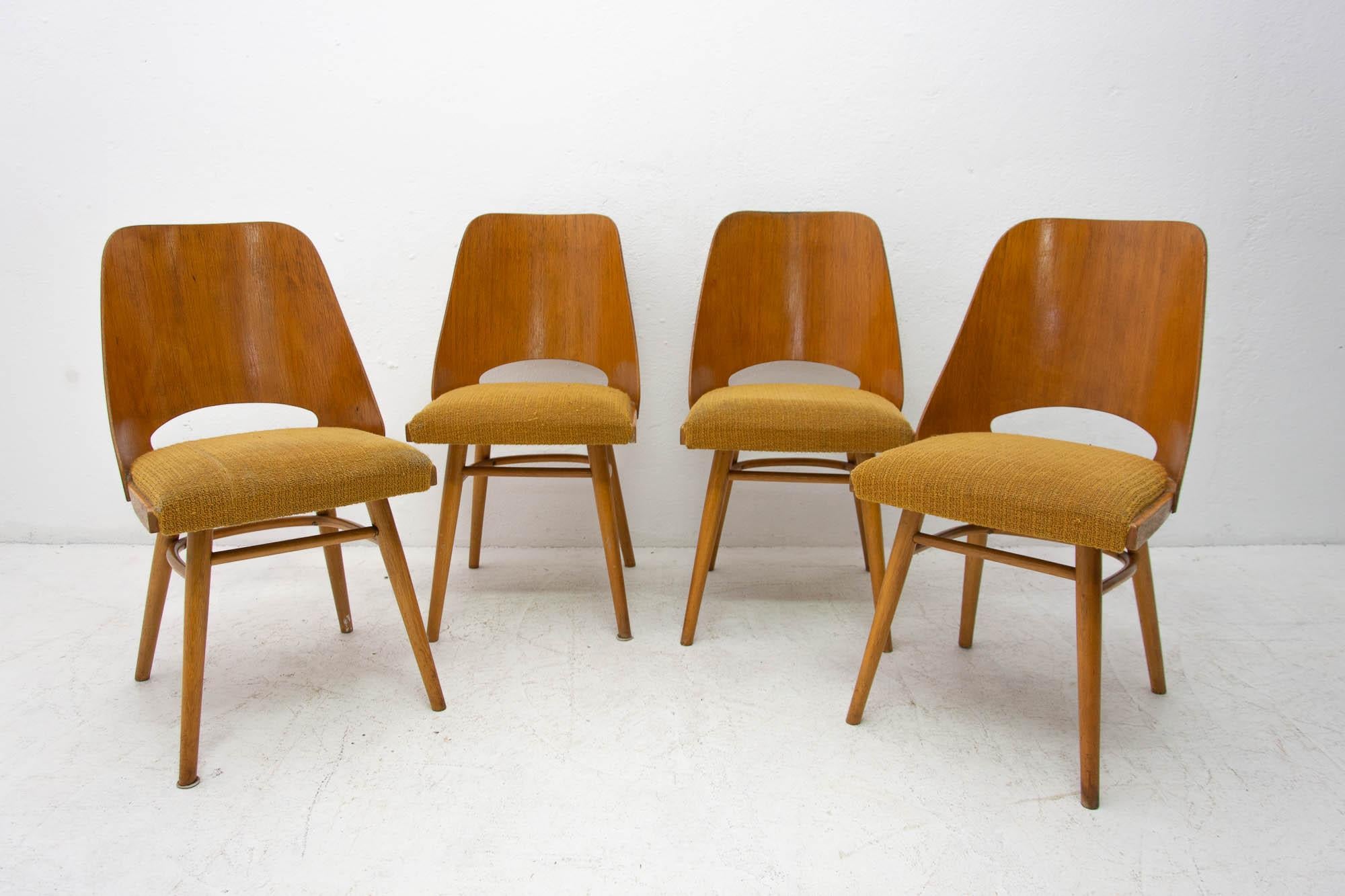  Mid Century dining chairs designed by Radomír Hofman for TON, 1960´s, Czech. 1