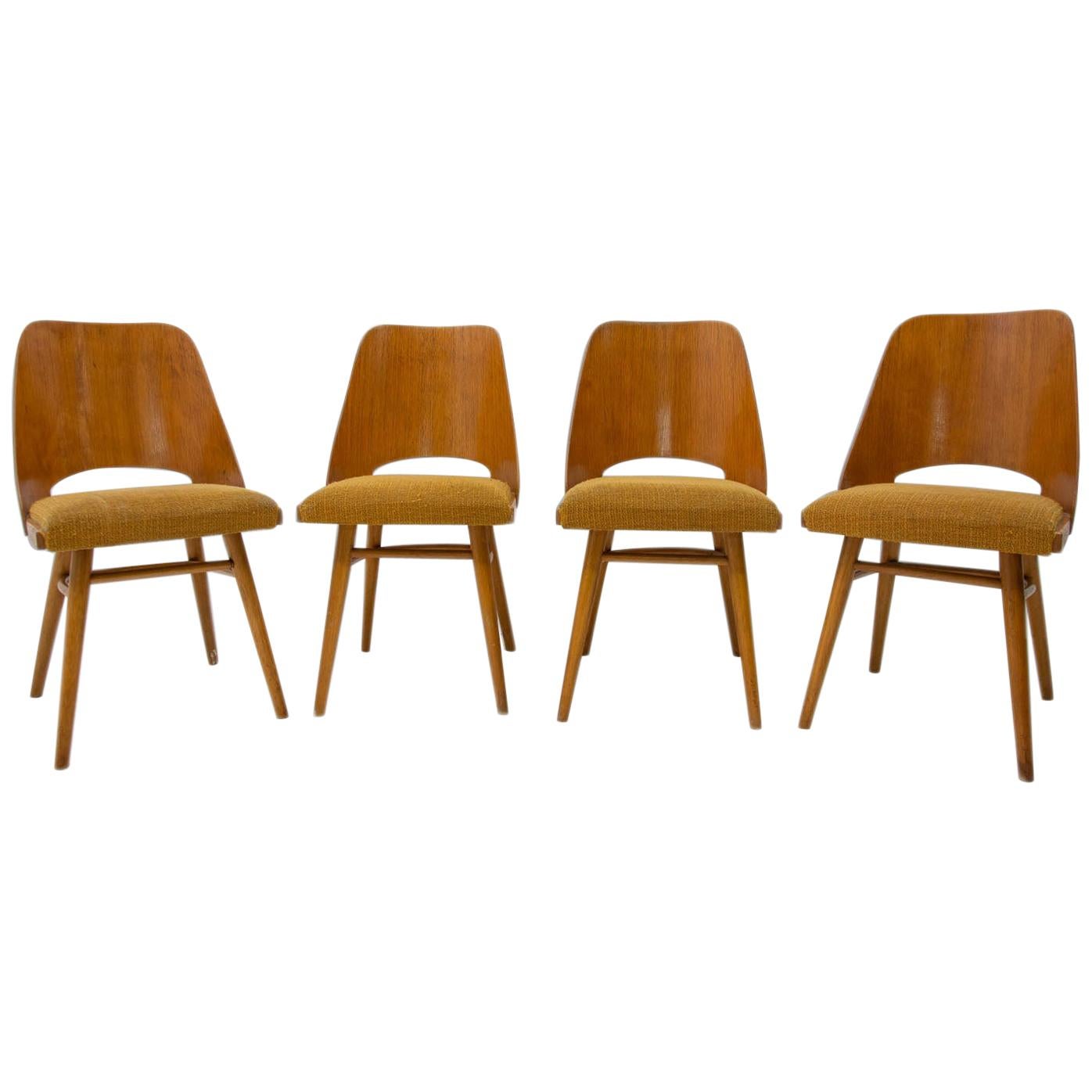  Mid Century dining chairs designed by Radomír Hofman for TON, 1960´s, Czech.