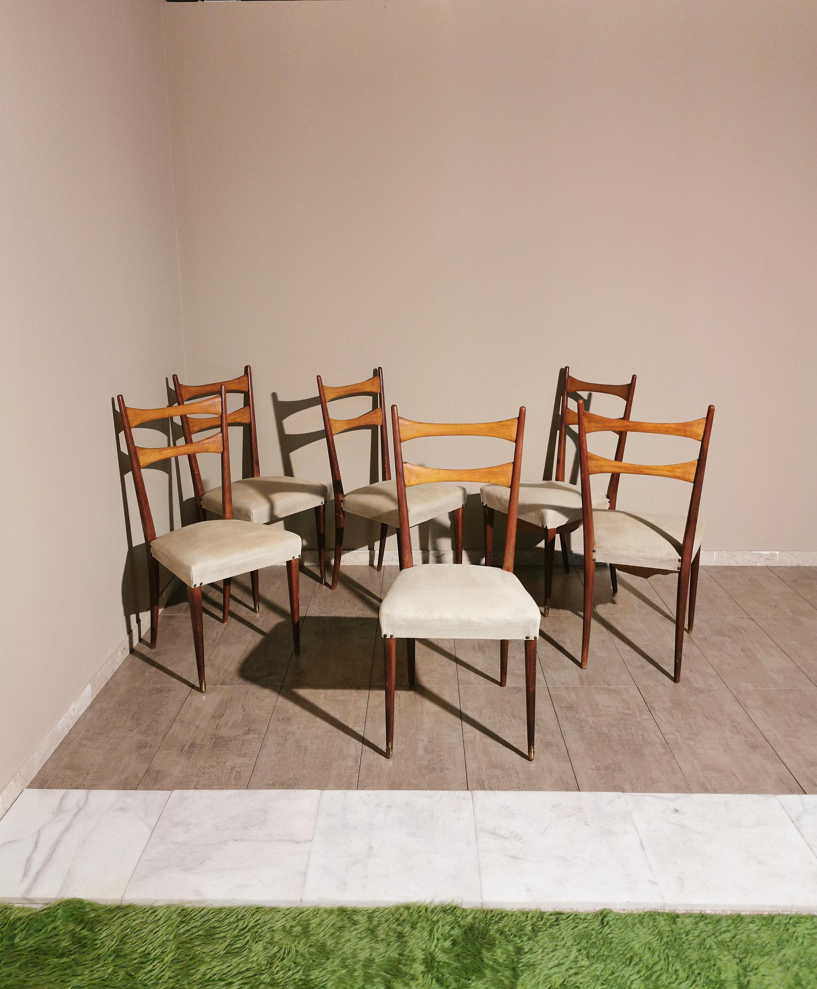 Midcentury Dining Chairs in the Style of Osvaldo Borsani in Wood and Cloth, 1950 3