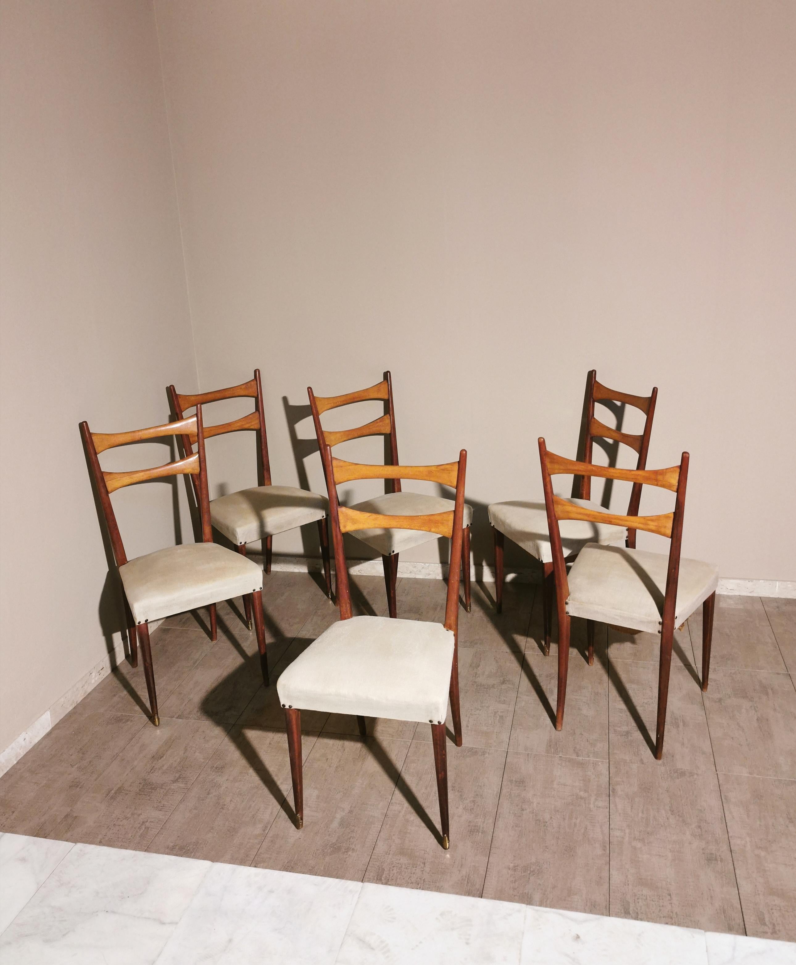 Midcentury Dining Chairs in the Style of Osvaldo Borsani in Wood and Cloth, 1950 In Fair Condition In Palermo, IT