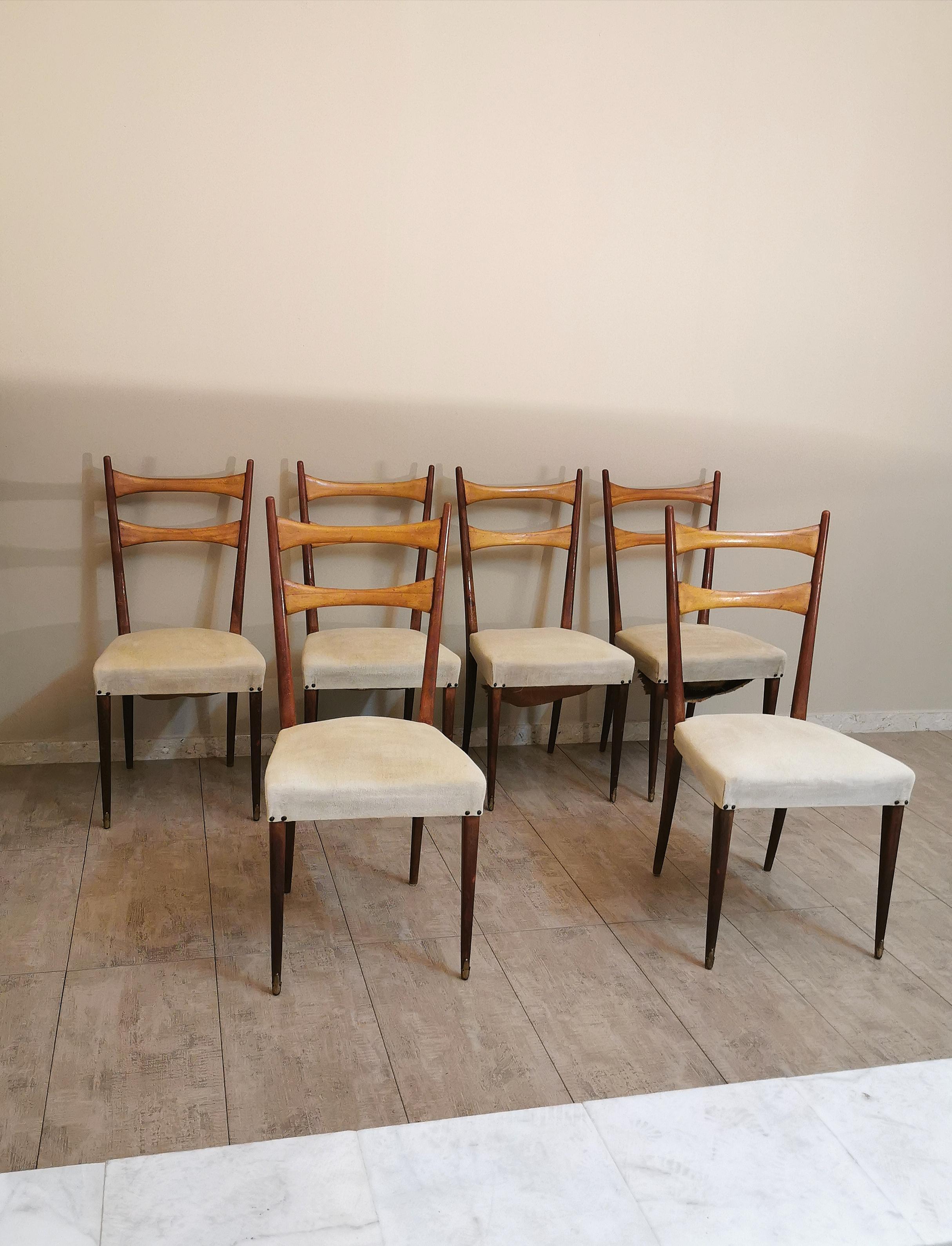 Midcentury Dining Chairs in the Style of Osvaldo Borsani in Wood and Cloth, 1950 1
