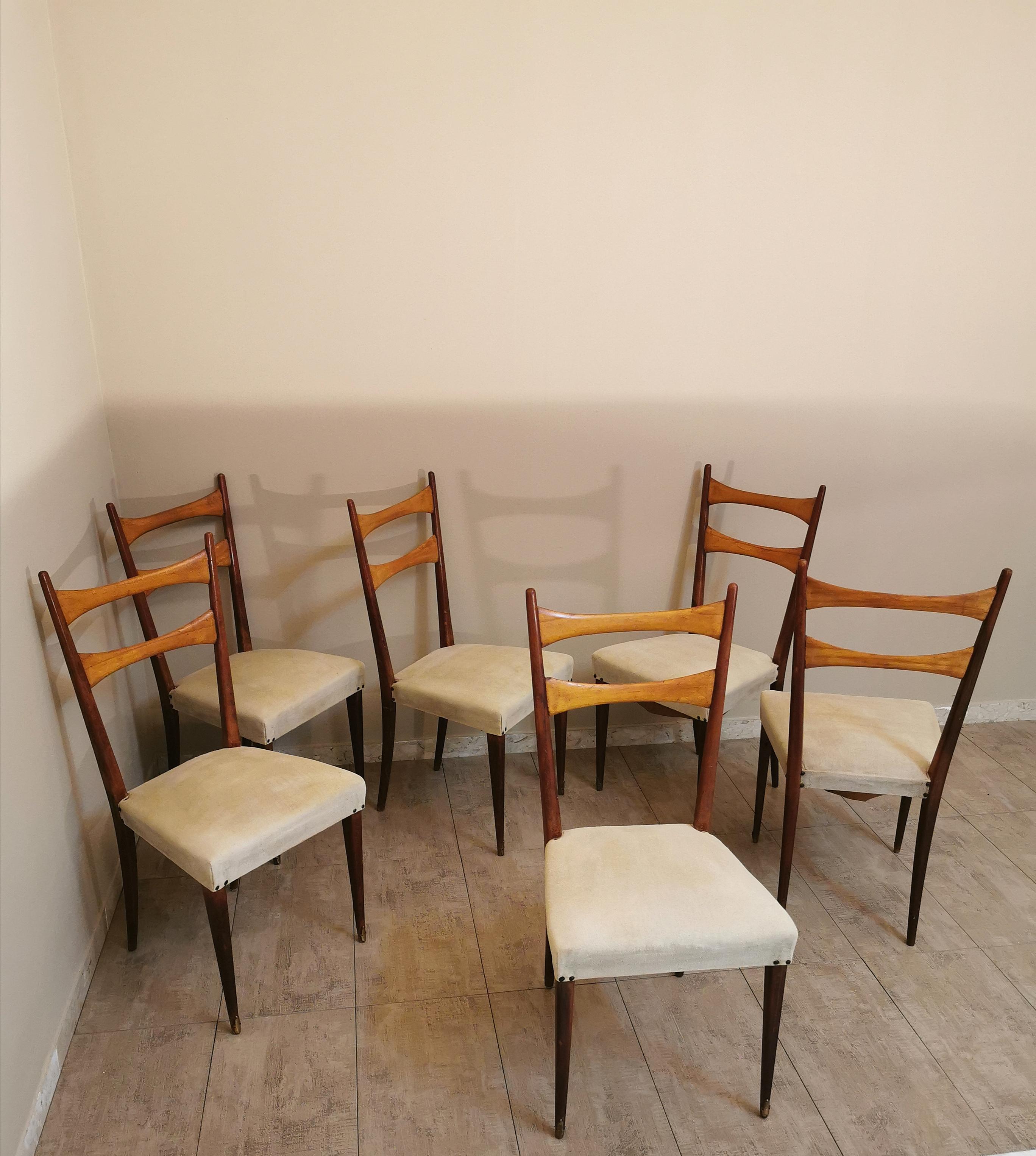 Midcentury Dining Chairs in the Style of Osvaldo Borsani in Wood and Cloth, 1950 2