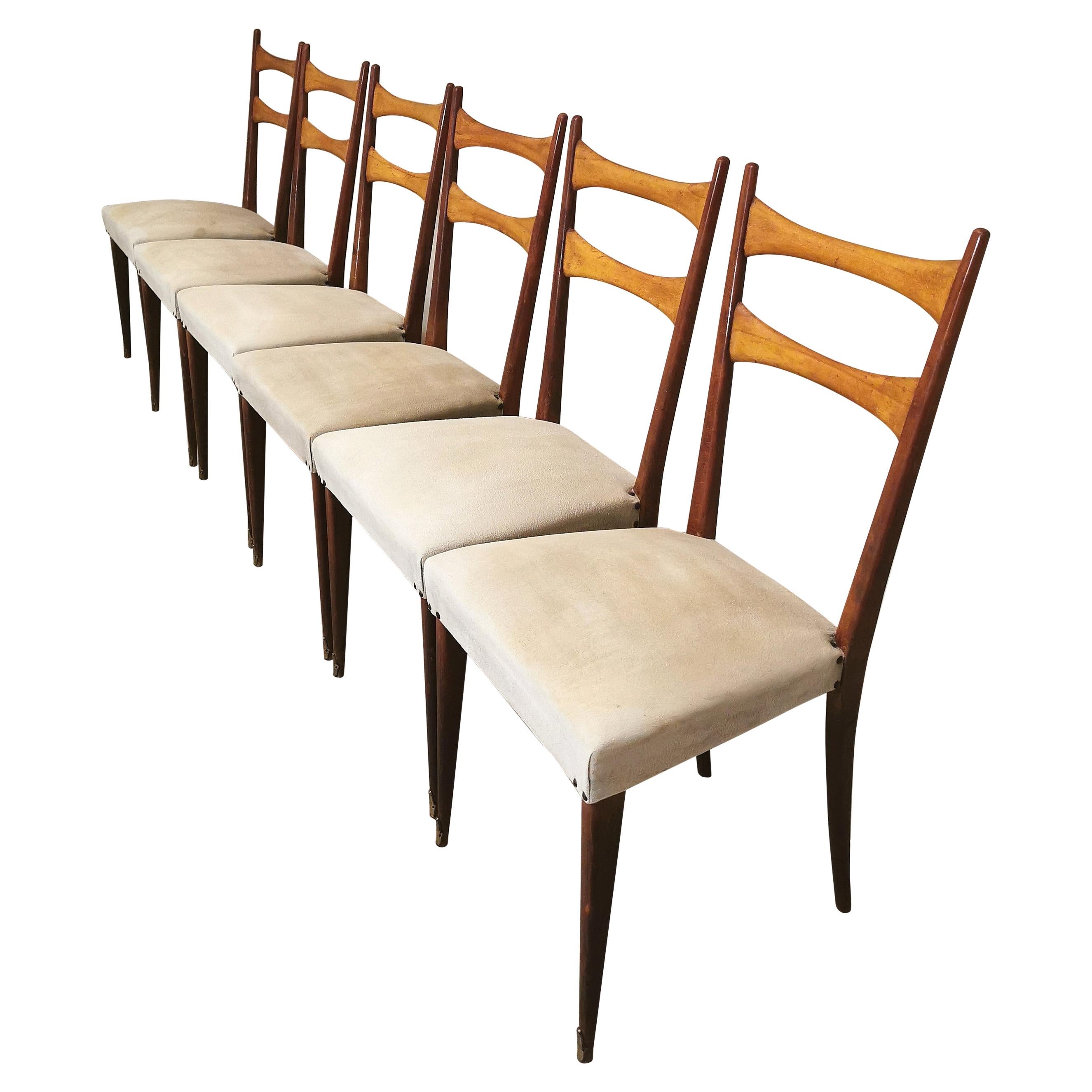 Midcentury Dining Chairs in the Style of Osvaldo Borsani in Wood and Cloth, 1950