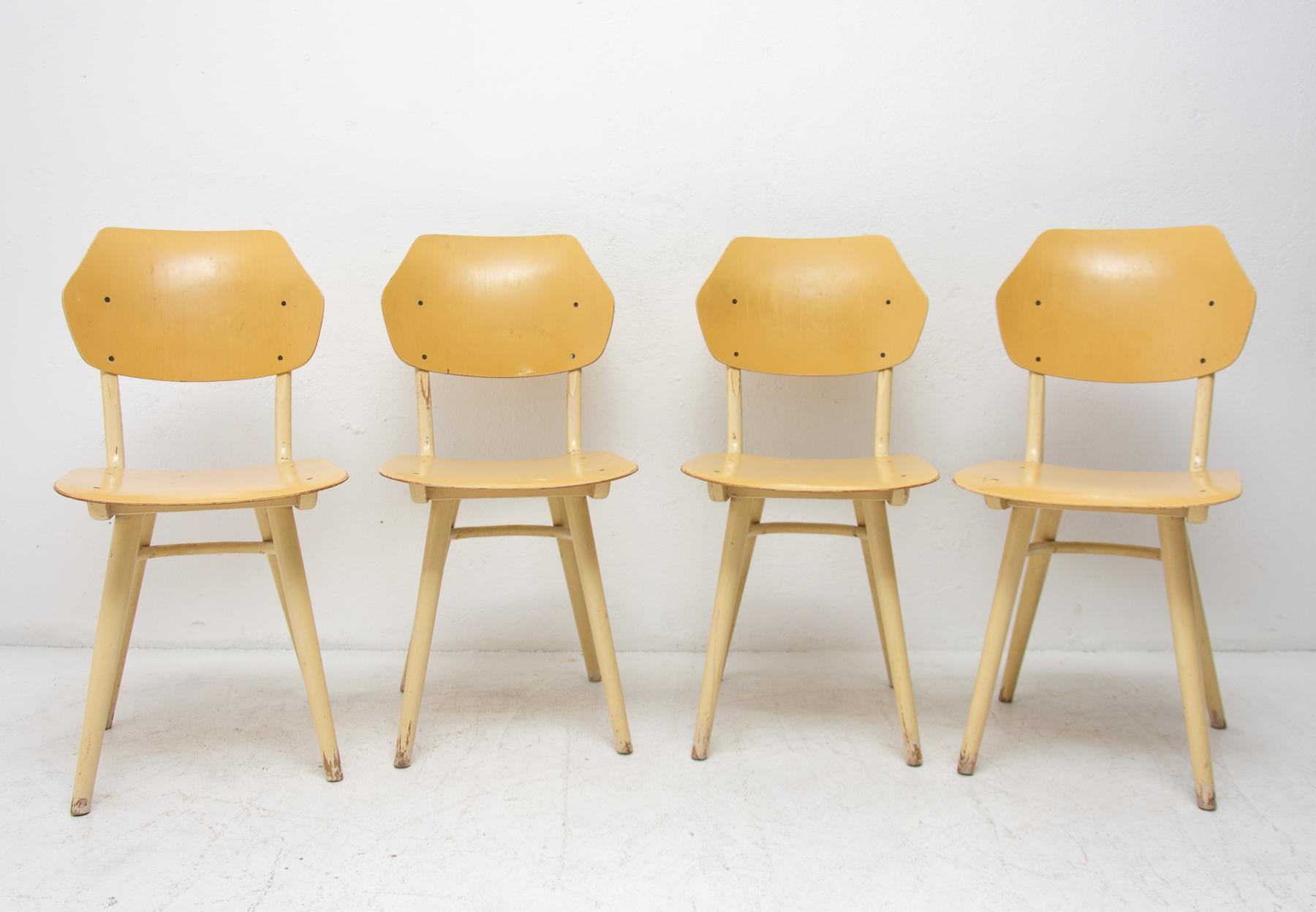 Set of four patinated dining chairs from the 1960s. It was produced by TON, Czechoslovakia. The TON company was established as successor to the famous Thonet after World War II in Czechoslovakia and continued the production of bentwood furniture. It