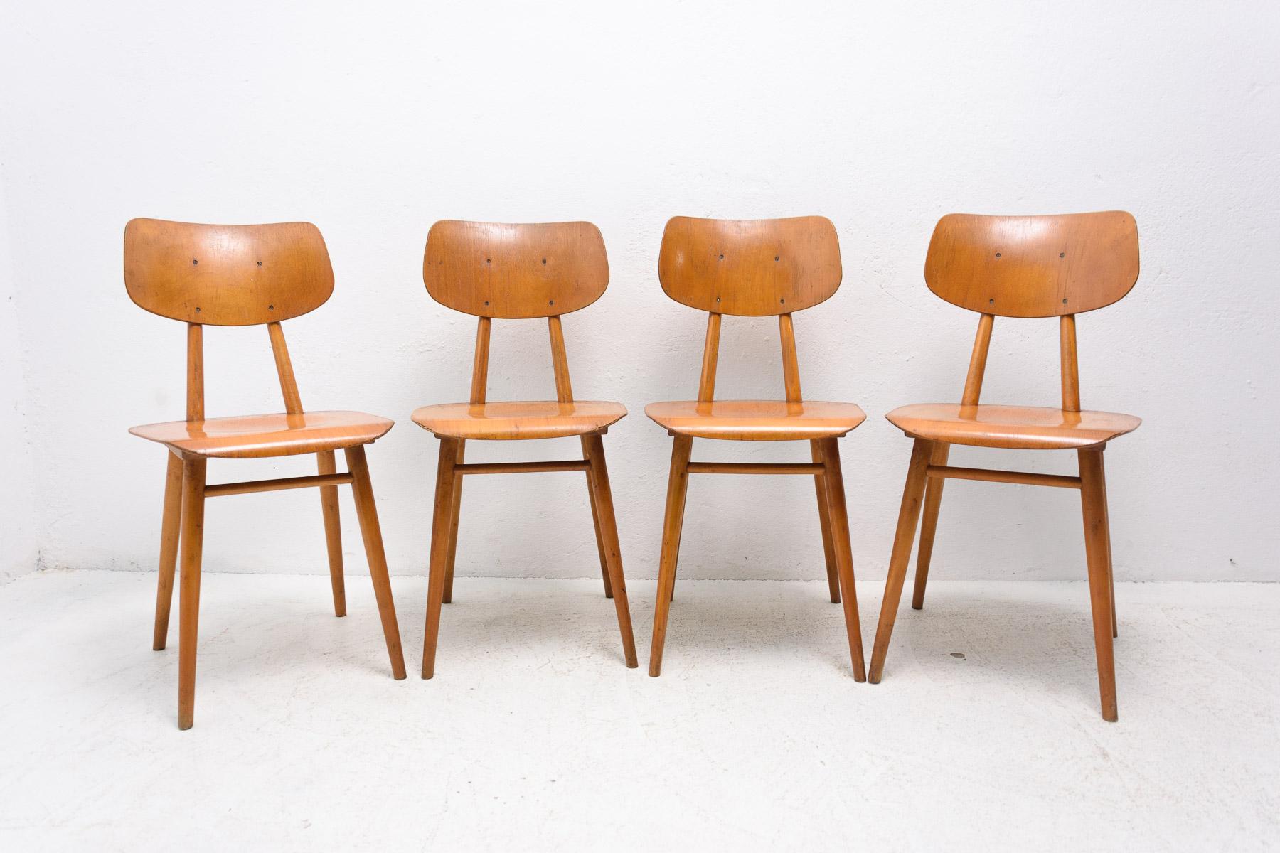 Set of four patinated dining chairs from the 1960´s. It was produced by TON, Czechoslovakia. The TON company was established as successor to the famous Thonet after World War II in Czechoslovakia and continued the production of bentwood furniture.