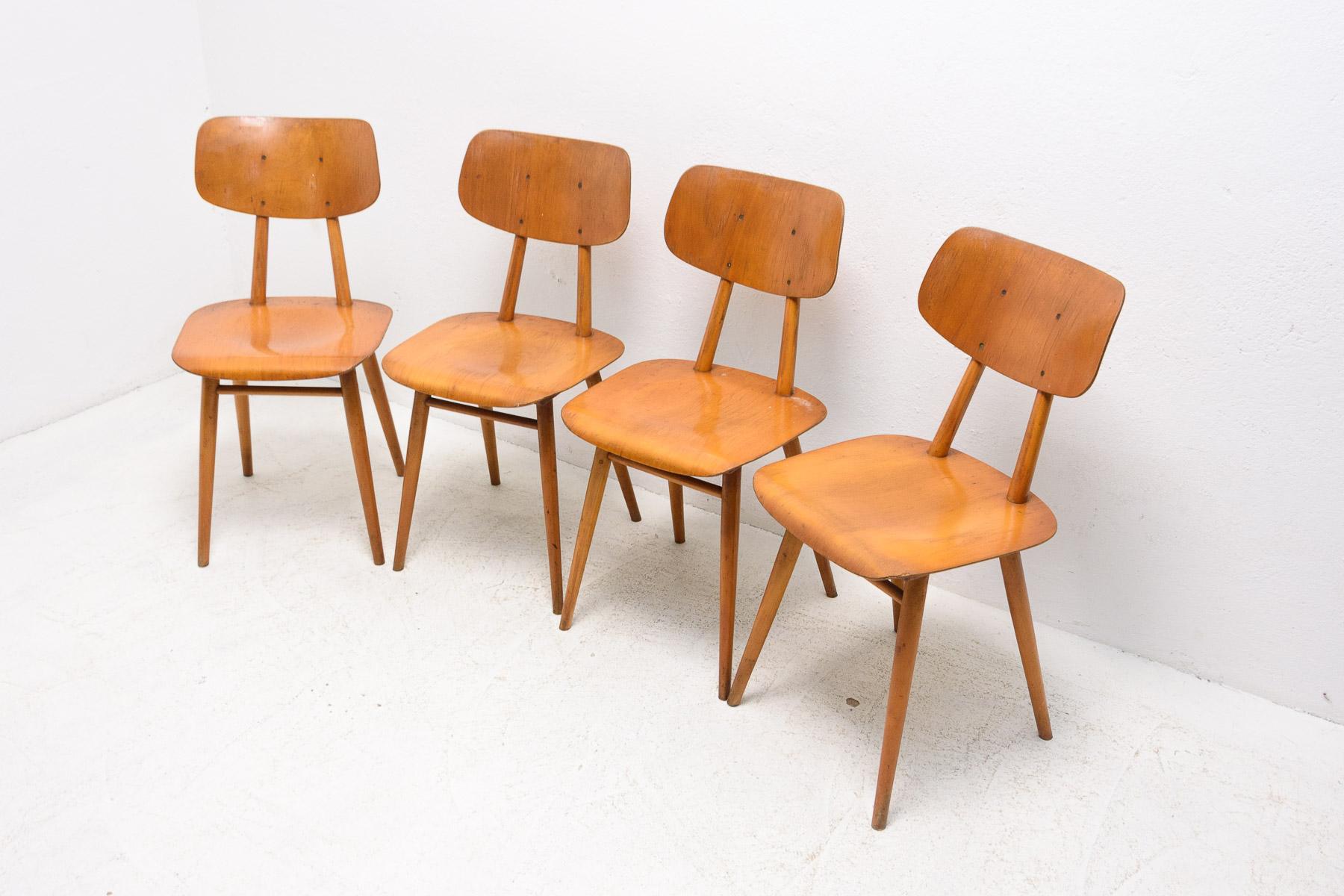 Czech Mid Century Dining Chairs Ton, Set of Four, 1960´s