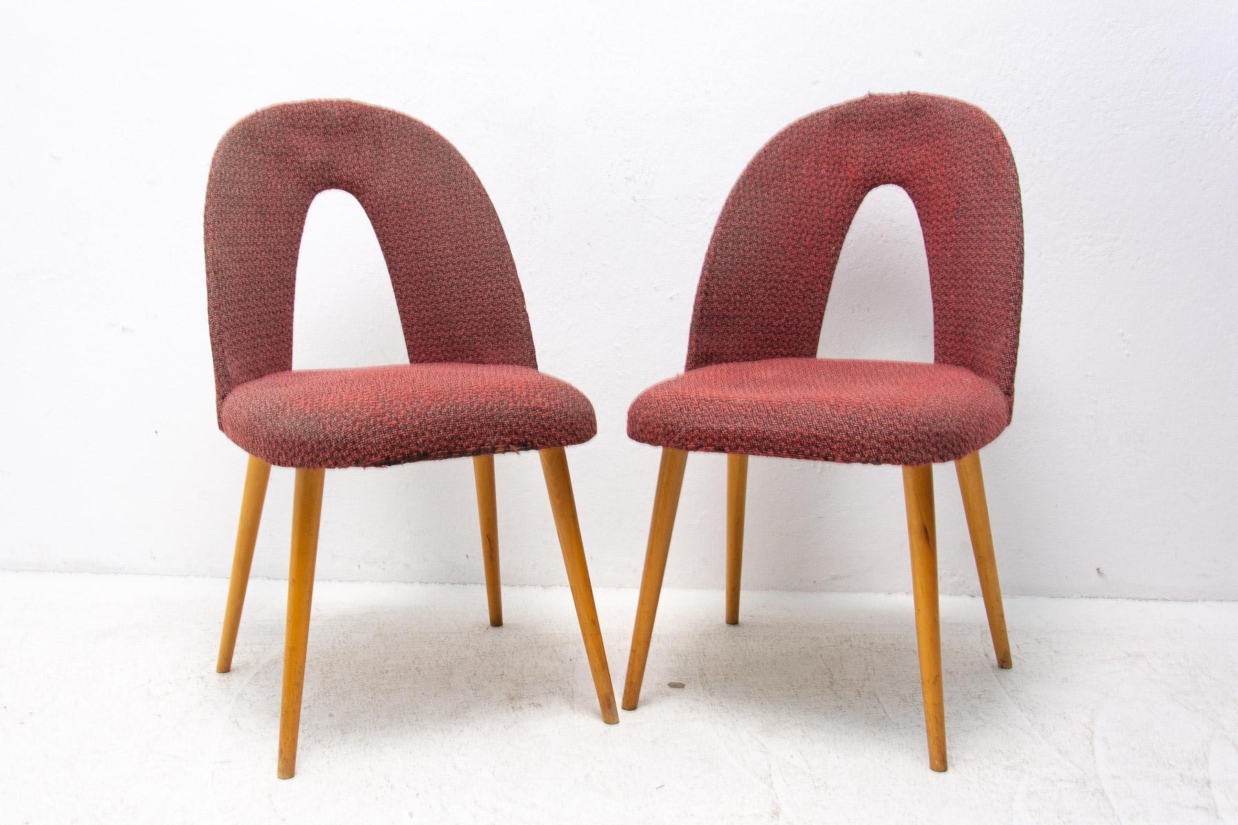 Chaises de salle à manger en bois courbé conçues par Antonin Suman. Les chaises sont tapissées de tissu et fabriquées en contreplaqué cintré et en bois de hêtre. Fabriqué dans l'ancienne Tchécoslovaquie dans les années 1960. Les chaises sont