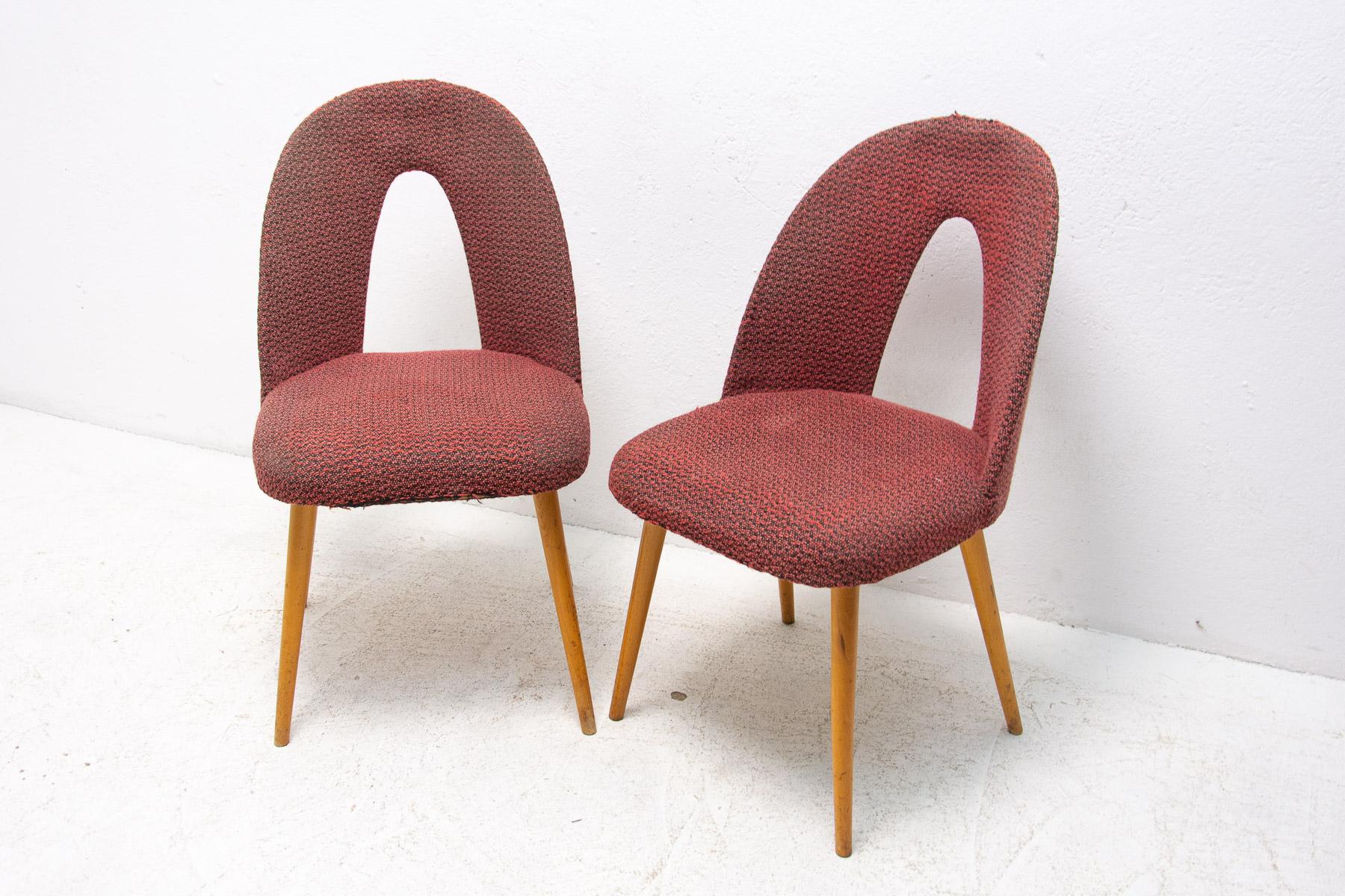 Mid-Century Modern Mid Century Dinning Chairs by Antonín Šuman for Tatra Nábytok, Set of 2 For Sale