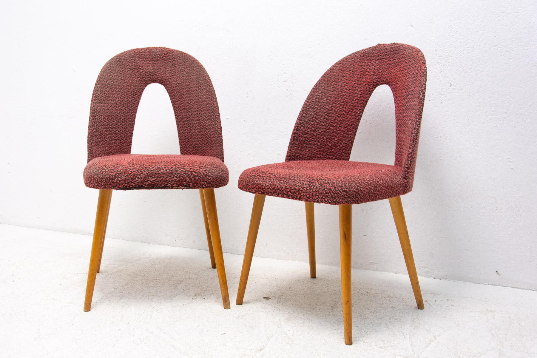 Czech Mid Century Dinning Chairs by Antonín Šuman for Tatra Nábytok, Set of 2 For Sale