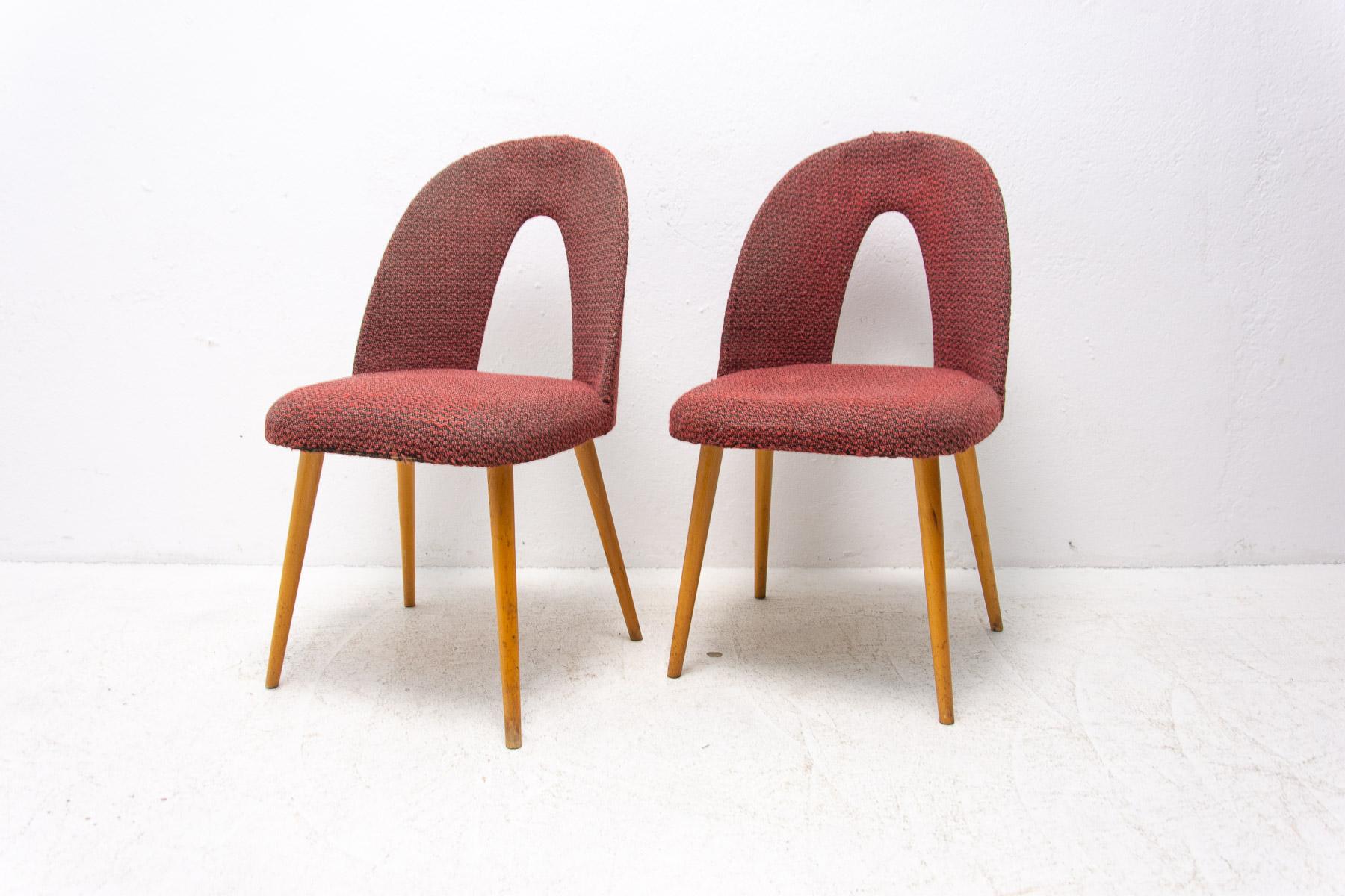 Mid Century Dinning Chairs by Antonín Šuman for Tatra Nábytok, Set of 2 In Good Condition For Sale In Prague 8, CZ