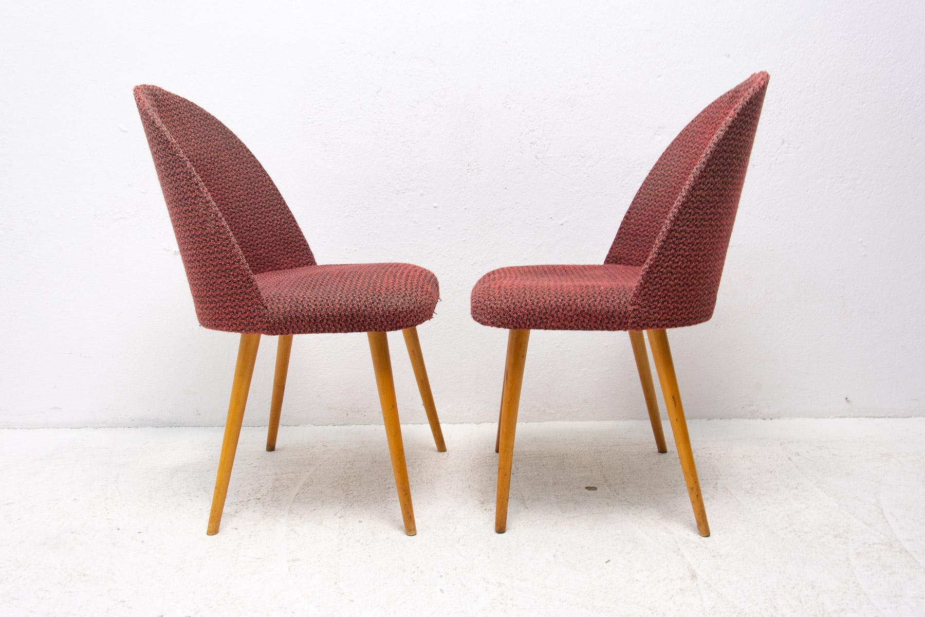 20th Century Mid Century Dinning Chairs by Antonín Šuman for Tatra Nábytok, Set of 2 For Sale