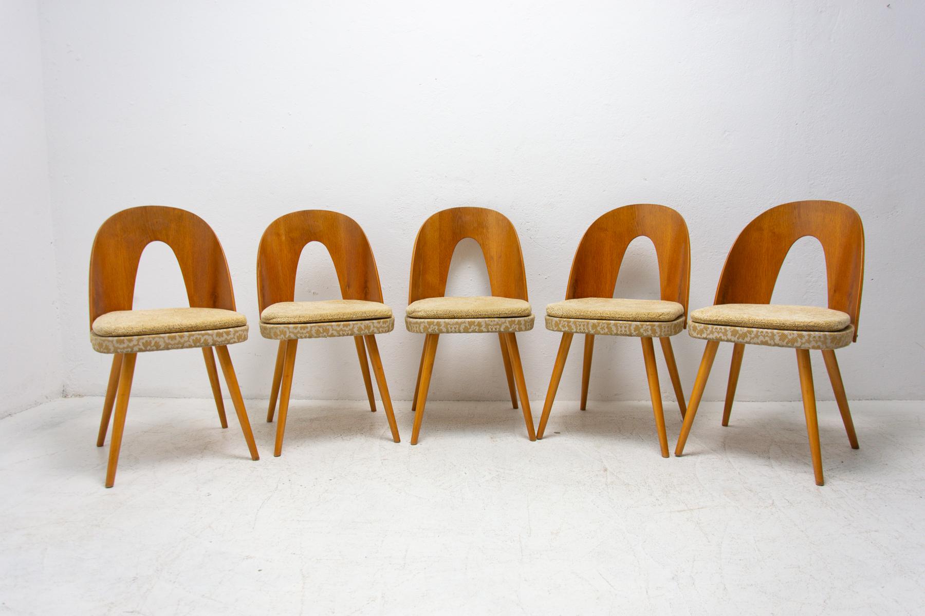 Set of five bentwood dining chairs designed by Antonin Suman. The seats are upholstered, the chairs are made of beech wood. Made in the former Czechoslovakia in the 1960´s. The chairs are in very good vintage condition, only one chair has a small