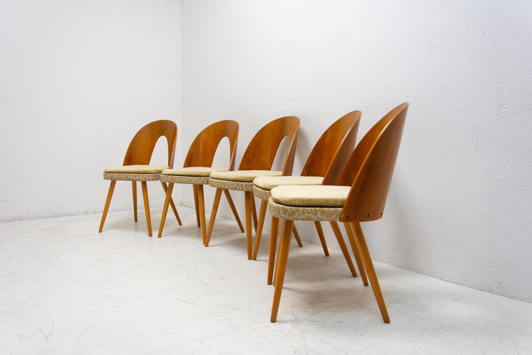 20th Century Mid Century Dinning Chairs by Antonín Šuman for Tatra Nábytok, Set of 5